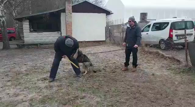 ZKO Česká Lípa-Obecní les-343 foto 2 (náhled videa)