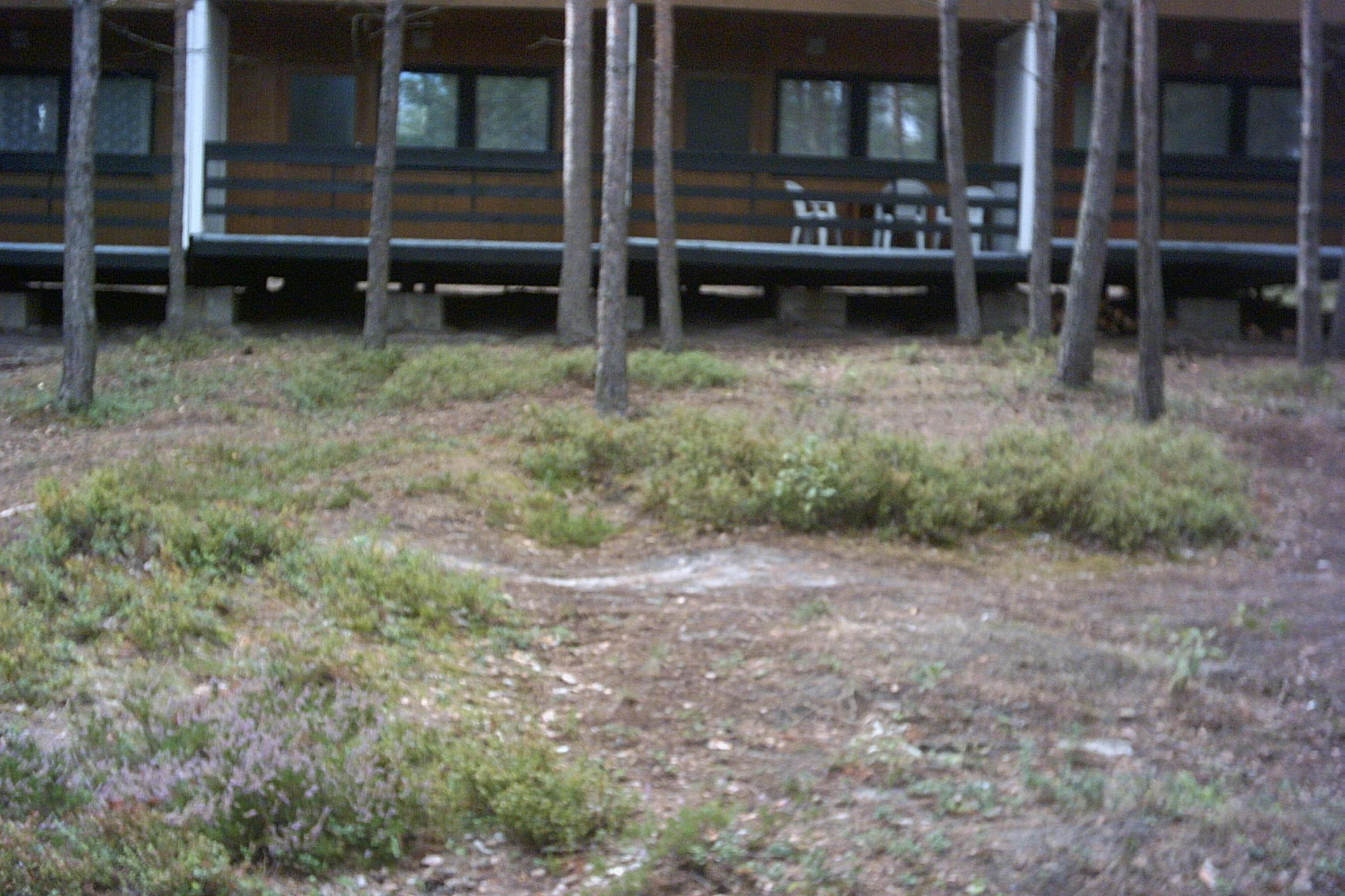 Camp Aamino