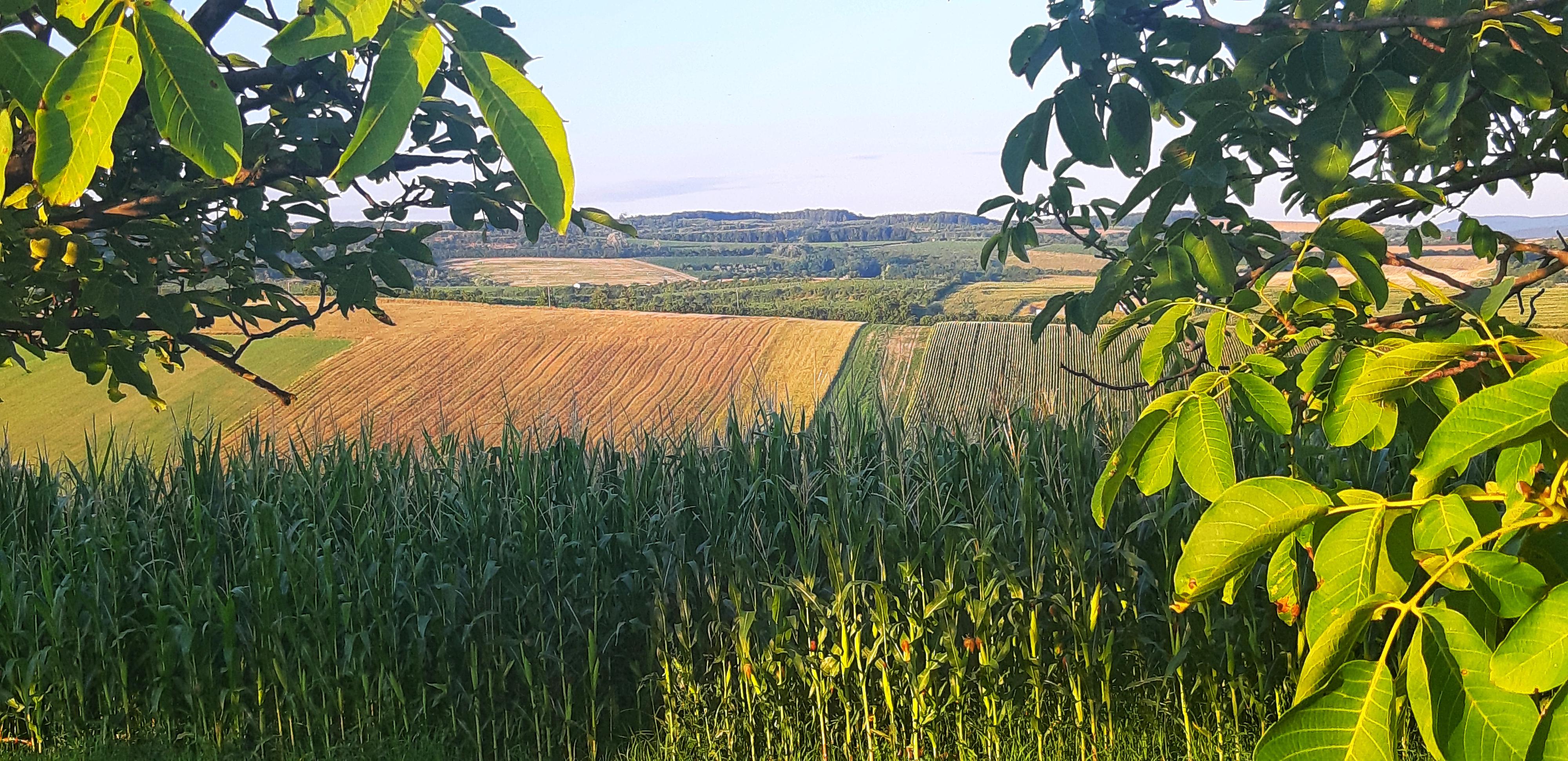 Ubytování na Jižní Moravě foto 5