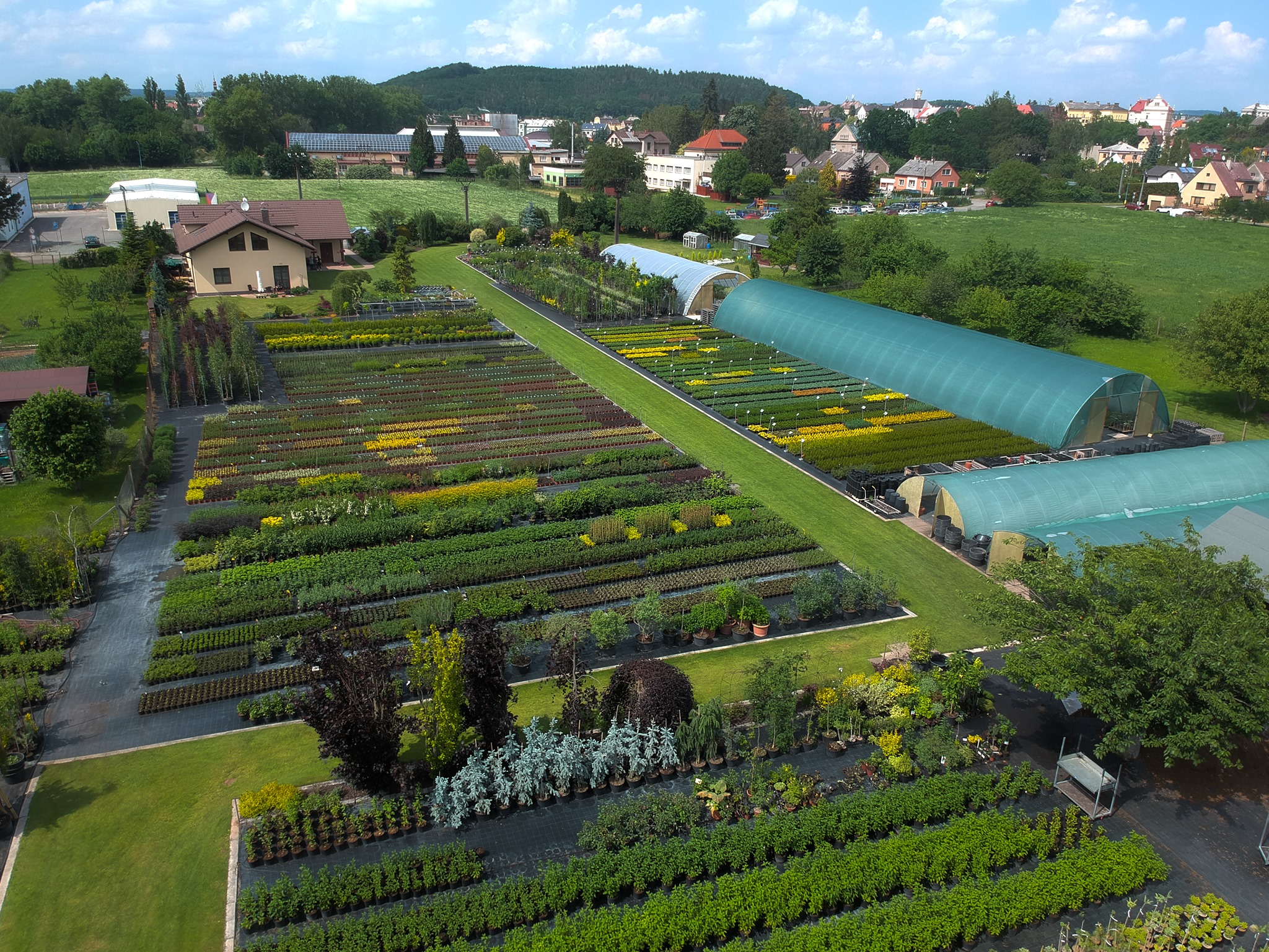 Zahradnictví Hrabík foto 2