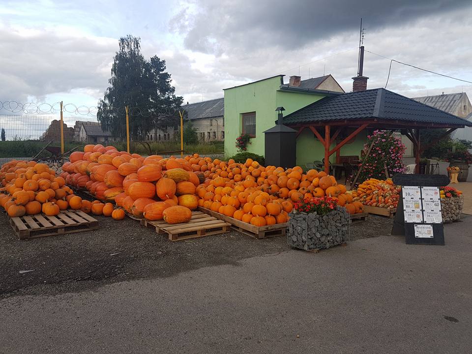 Farma Polák foto 4