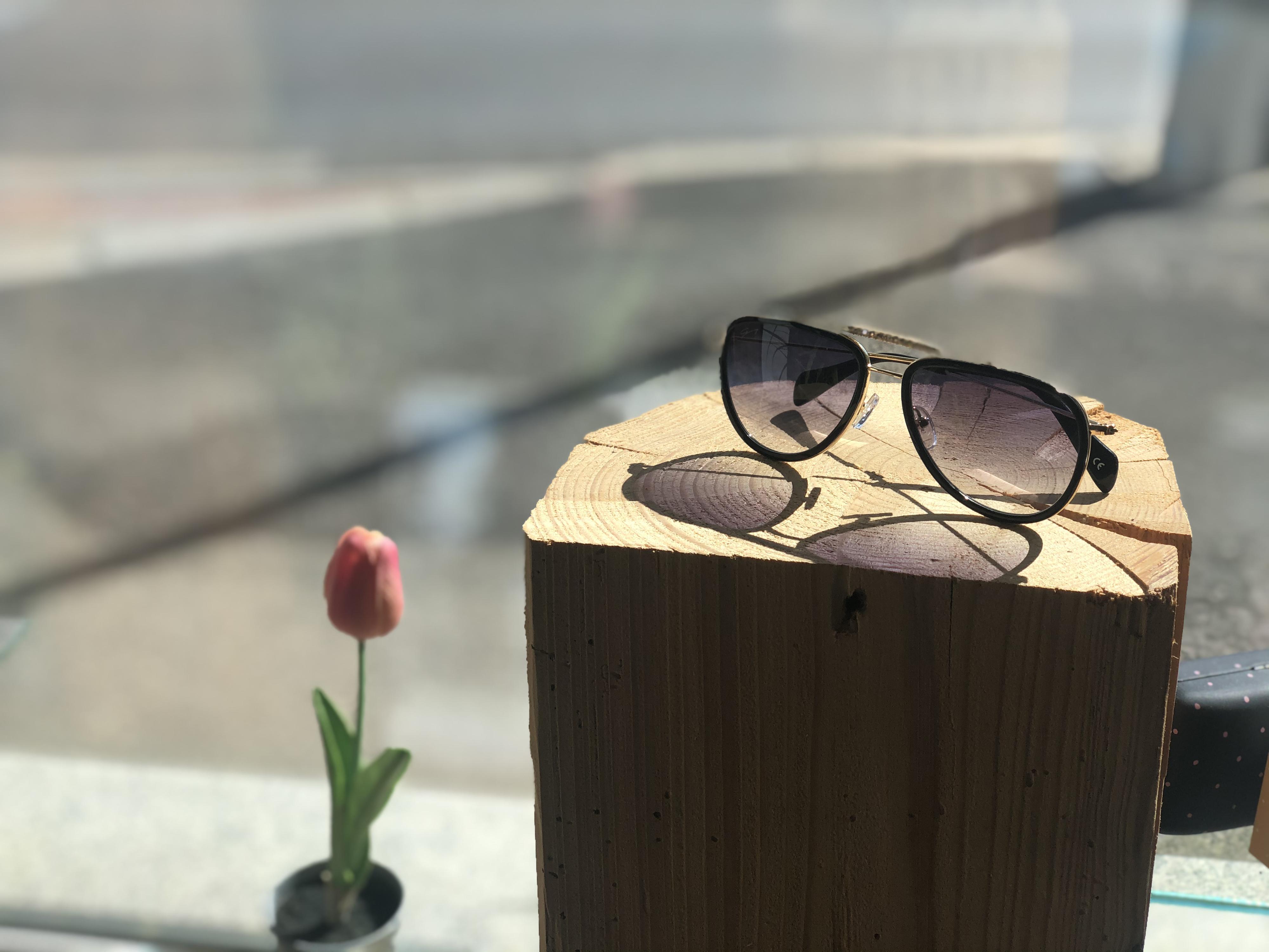 BB optika foto 3