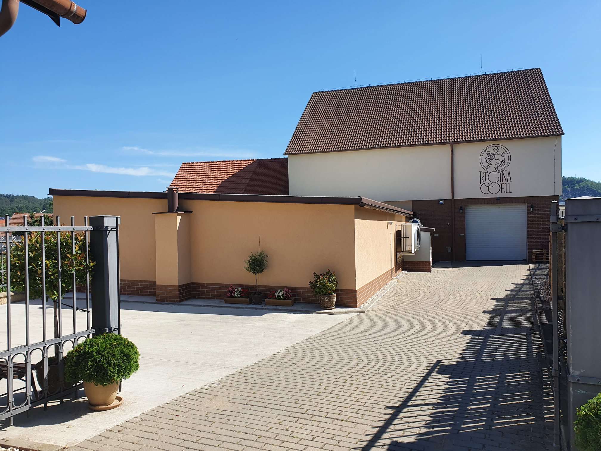 Reginacoeli.cz - Oulehla vinařství foto 2