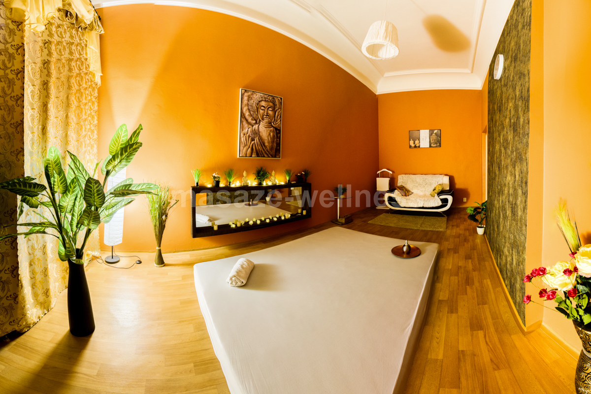 Erotické masáže wellness foto 4