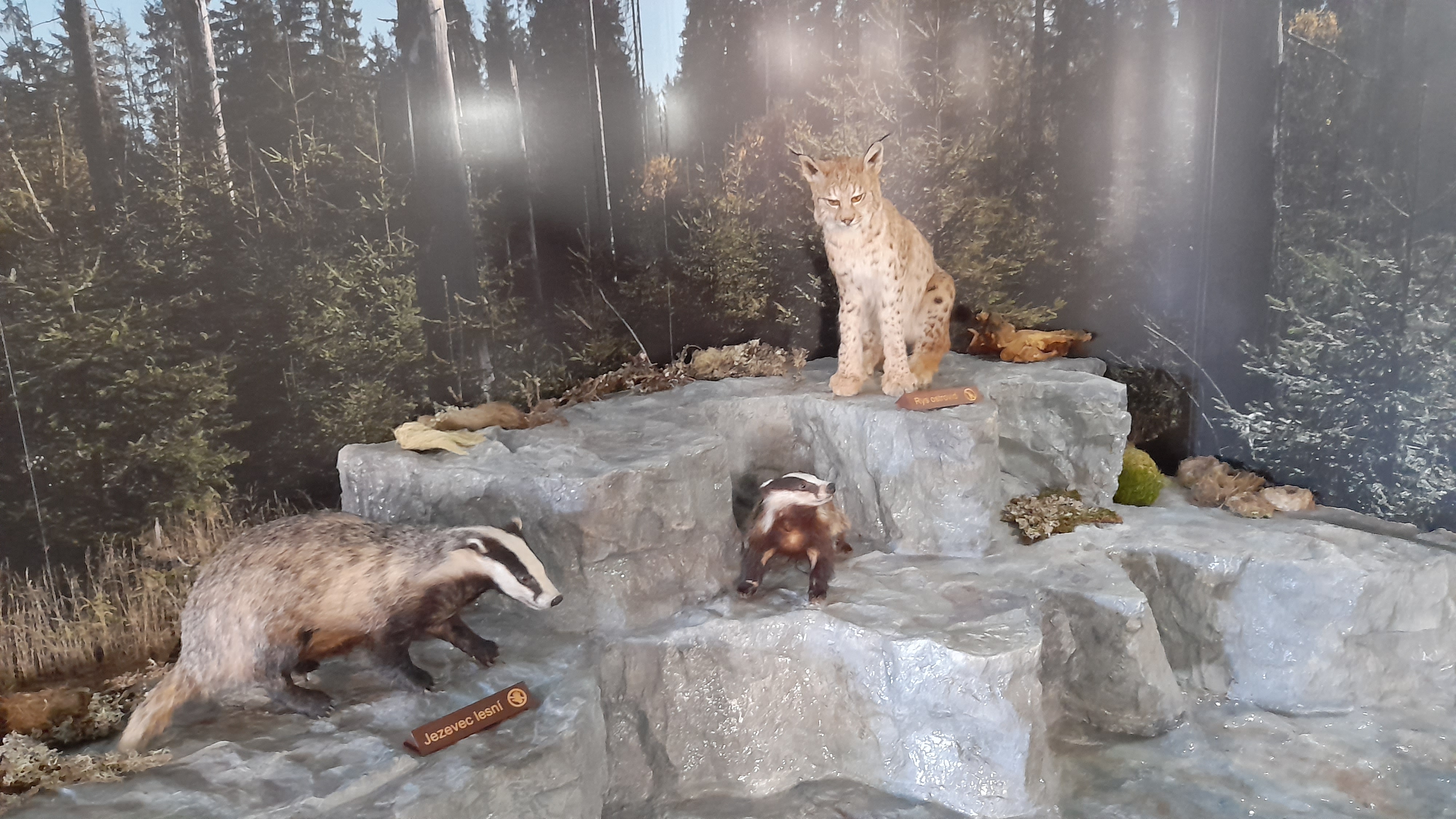 Informační středisko Kvilda foto 6