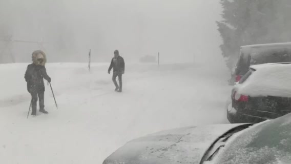 Sirupy GAR.LE. foto 2 (náhled videa)