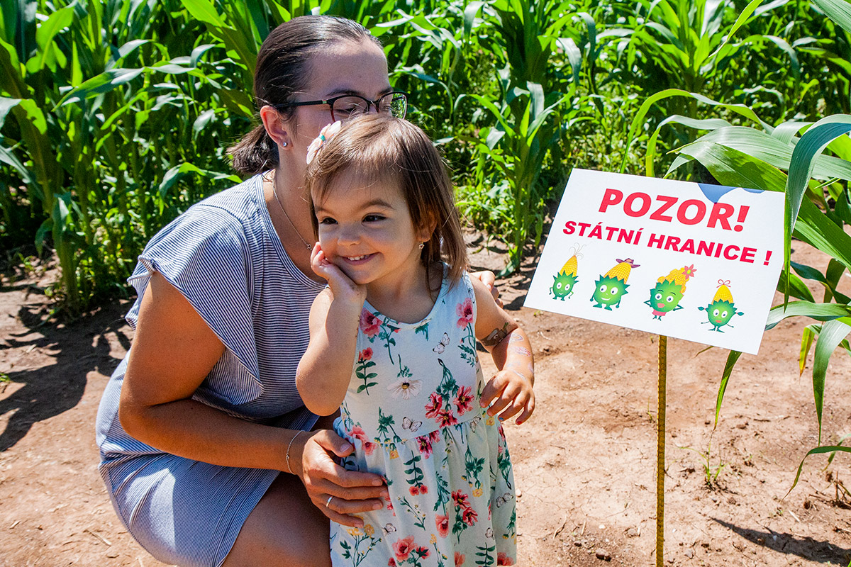 Kukuřičáci – Obří kukuřičné bludiště Plzeň - Přeštice foto 2