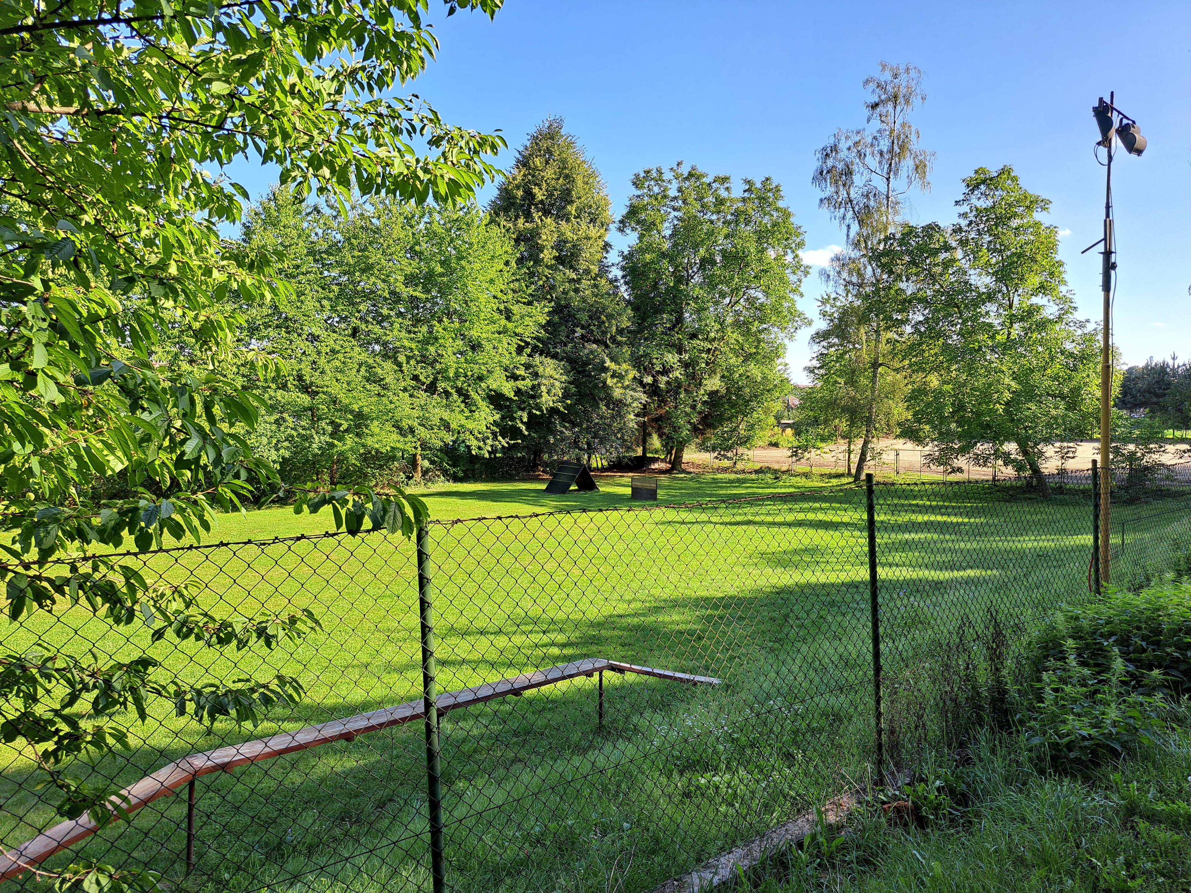 Kynologický klub Velká Bystřice foto 6