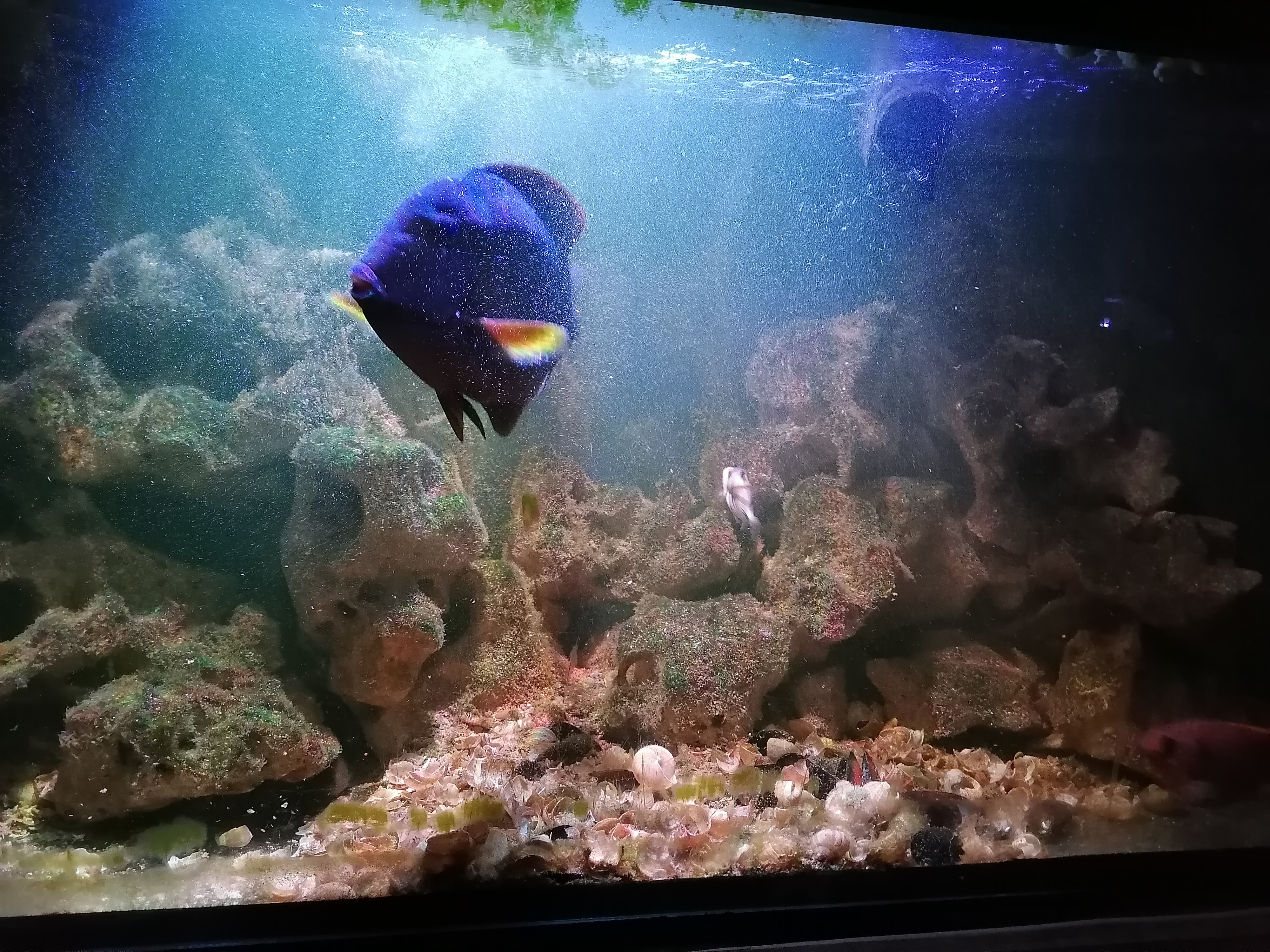 Penzion statek Široký Důl foto 2