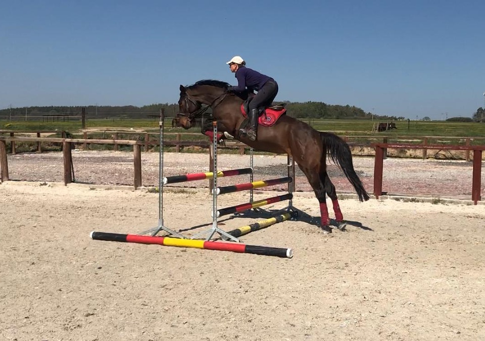 Farma Bojov - JK Paganini