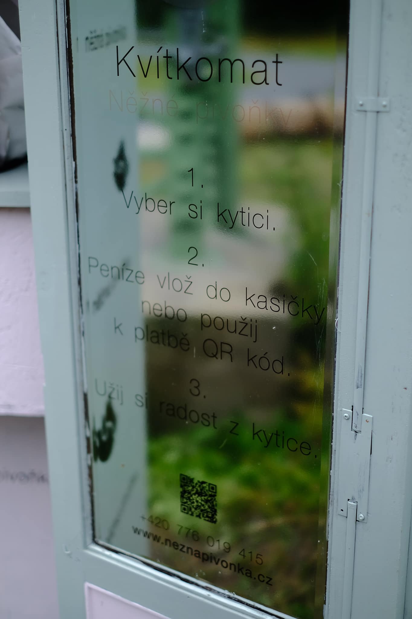 Něžná Pivoňka foto 5