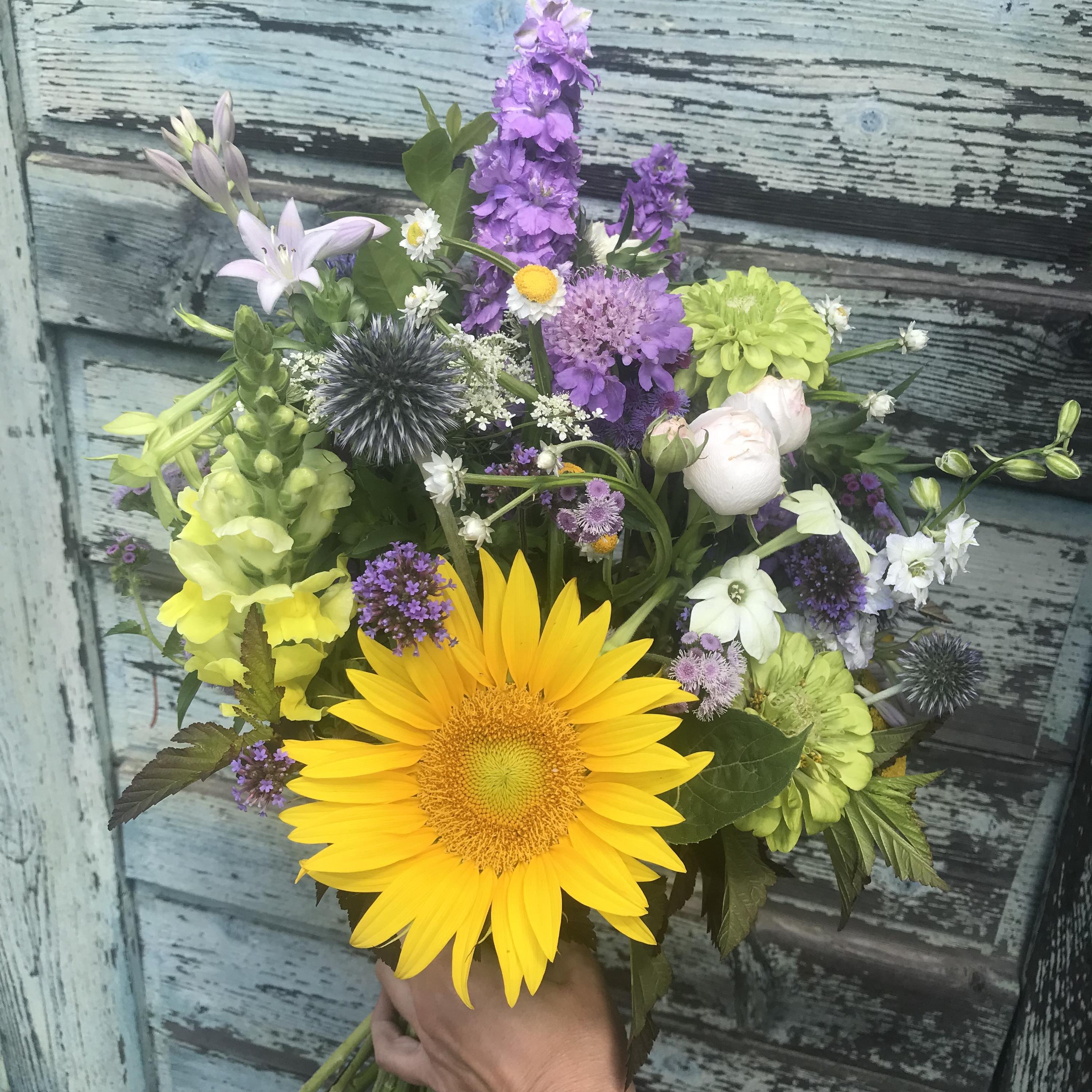 Květinová farma Daniela Žďárská foto 2