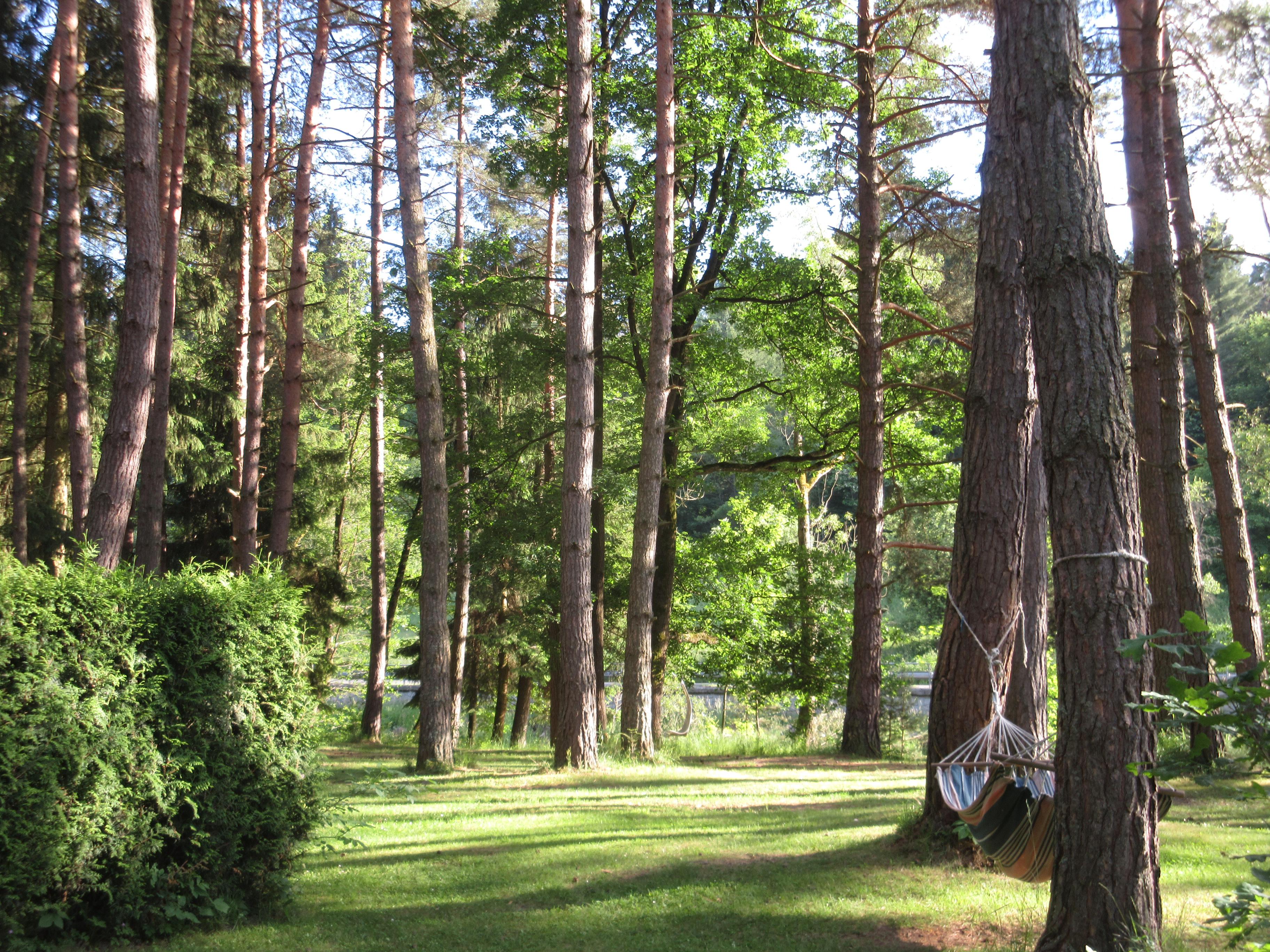 Annín Tree Park Camp foto 5
