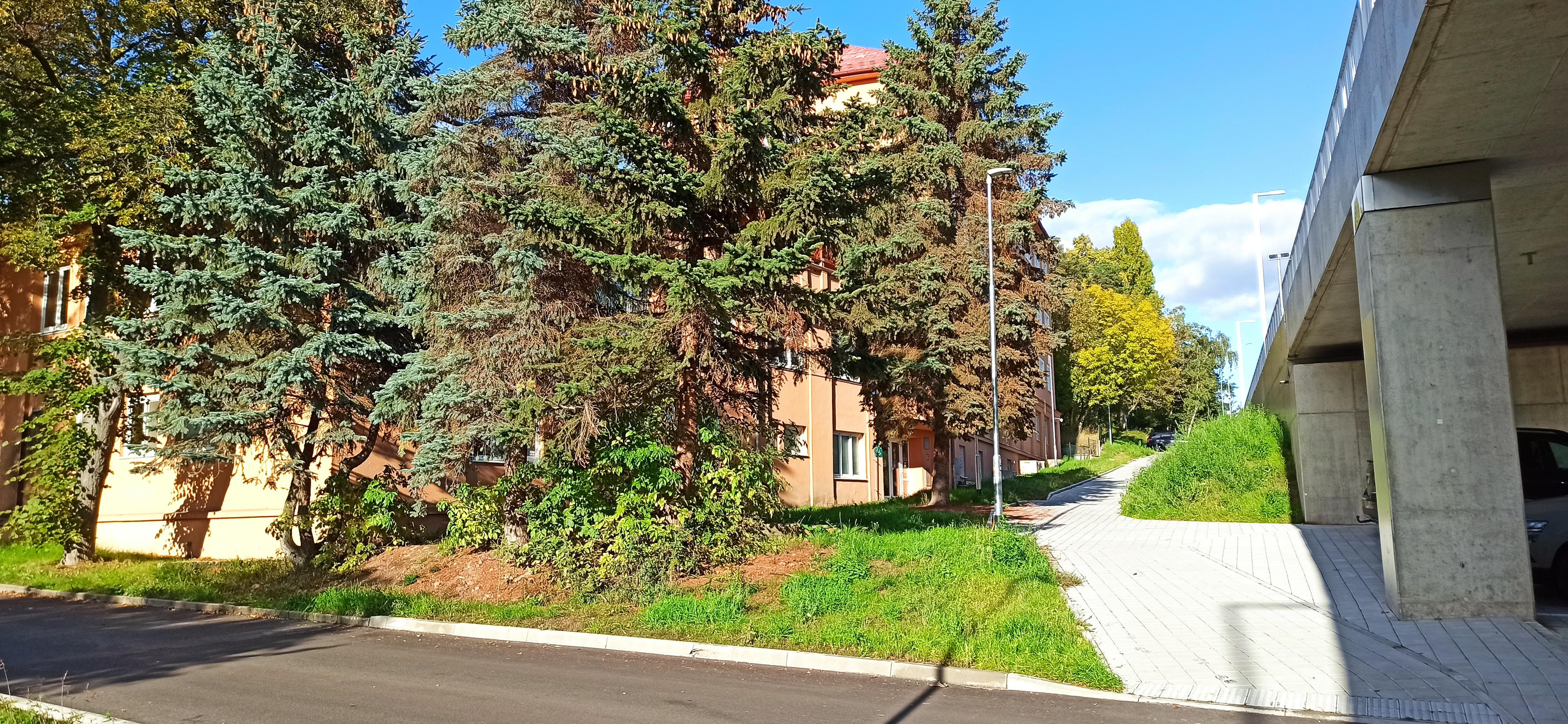 Podkrušnohorská nemocnice následné péče foto 3