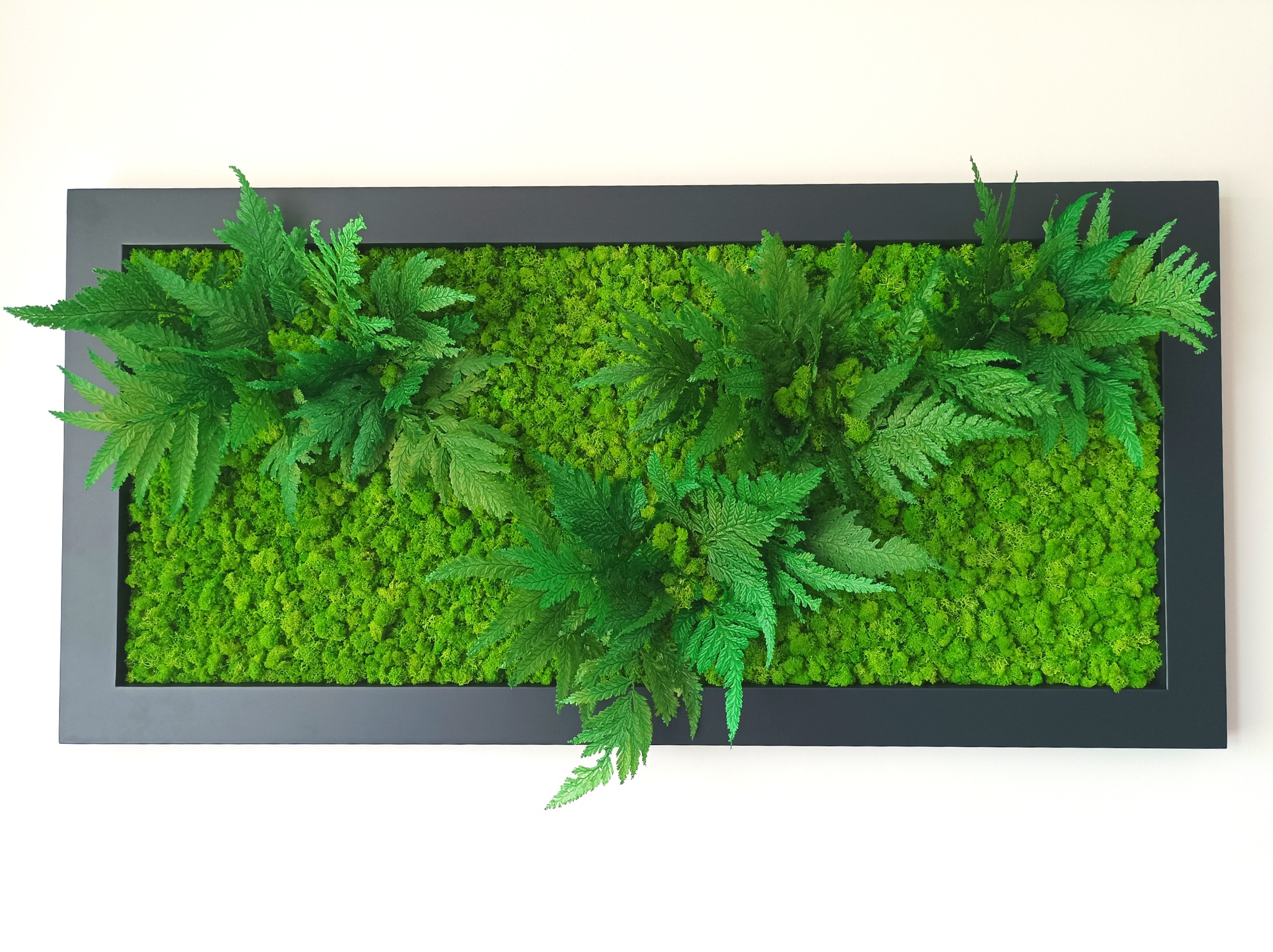 MY PLANT s.r.o. foto 2