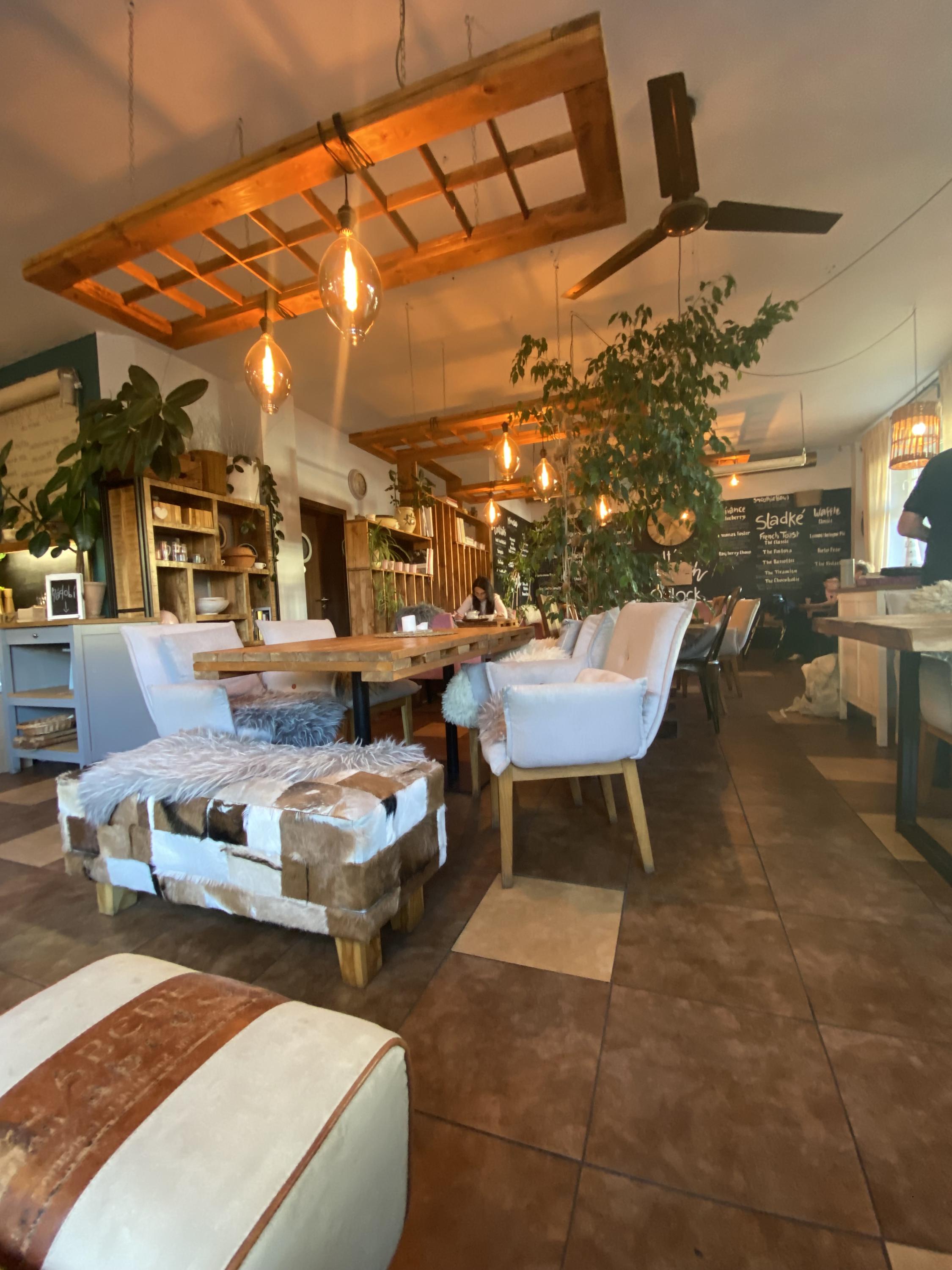 VERONIKA. The Cook & Baker. foto 6