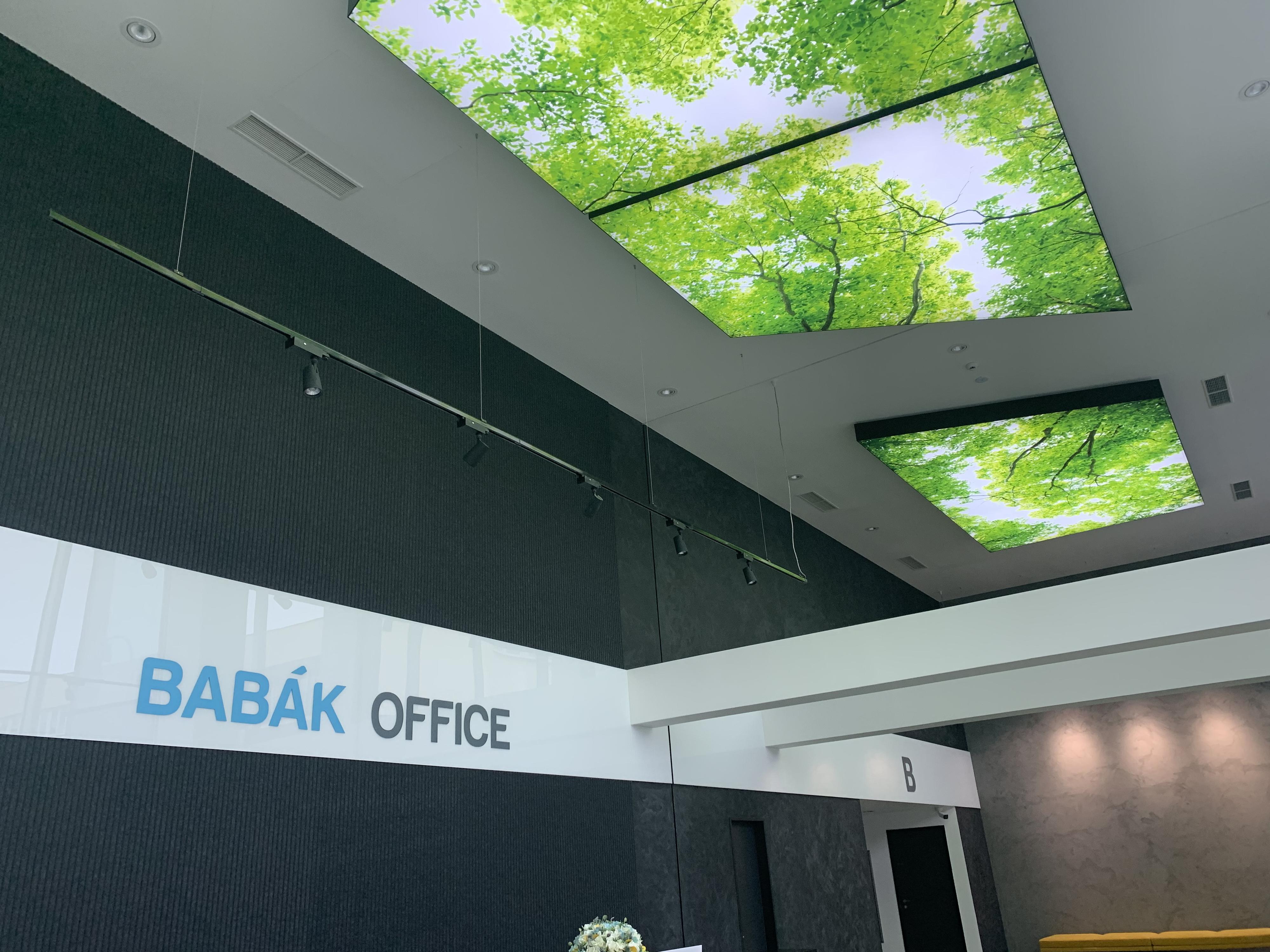 Mgr. MICHAELA PROCHÁZKOVÁ, advokátka foto 2