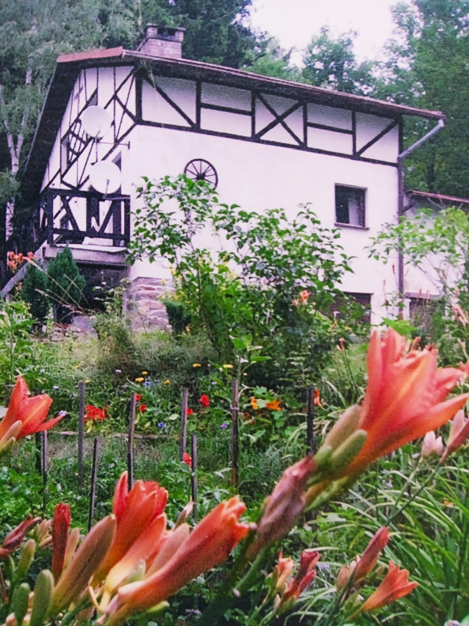 Realitní makléřka Marie Kostková foto 2