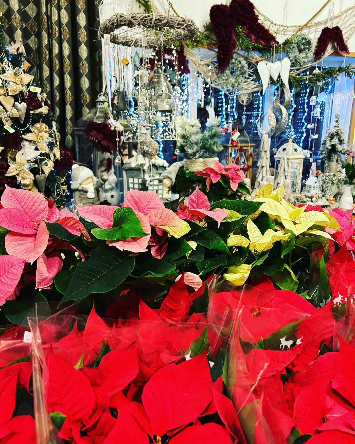 NECHO, spol. s r.o. foto 3