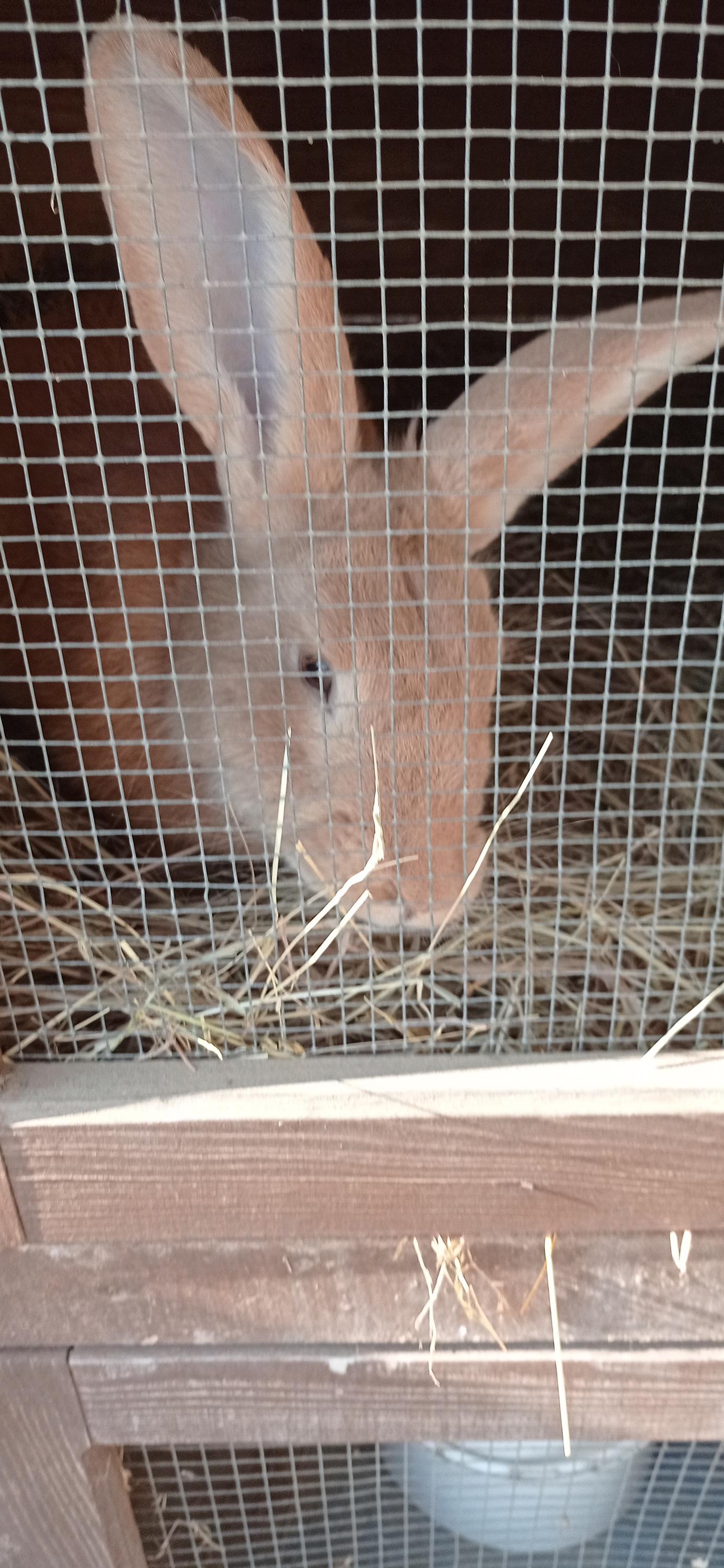 Ing. Zdeněk Mazal - zahradnictví foto 2