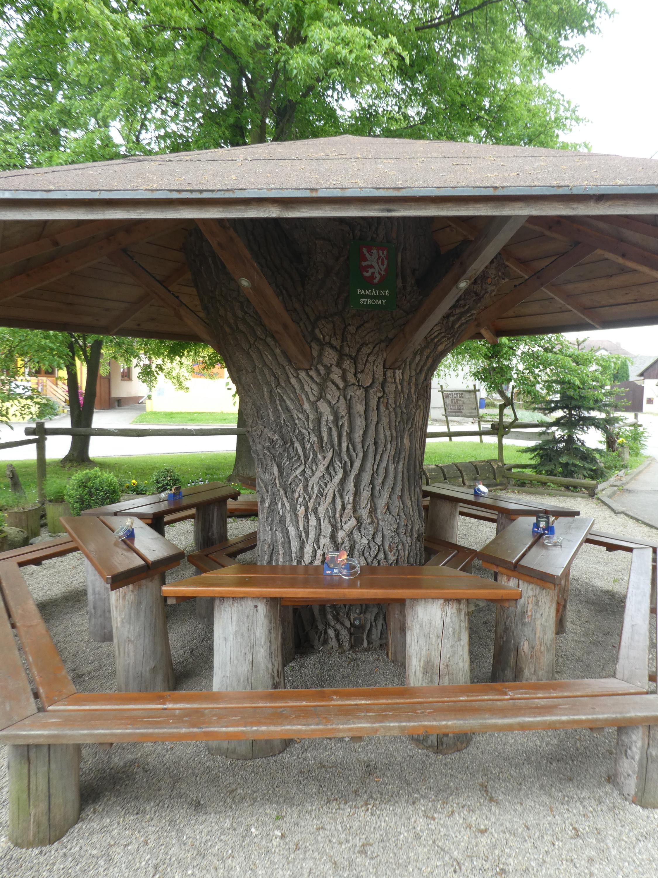 Hostinec New Fitness foto 3