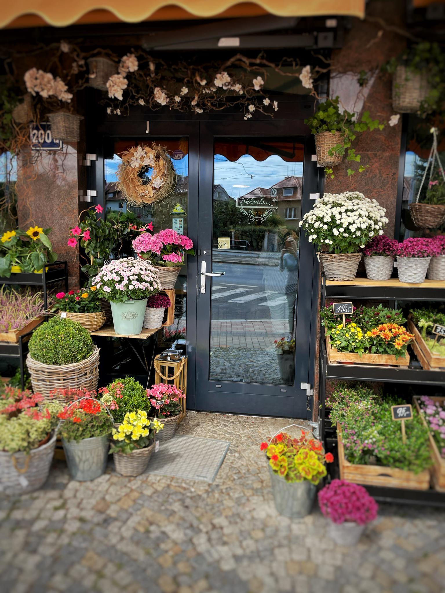 Nakvetlo.cz foto 6