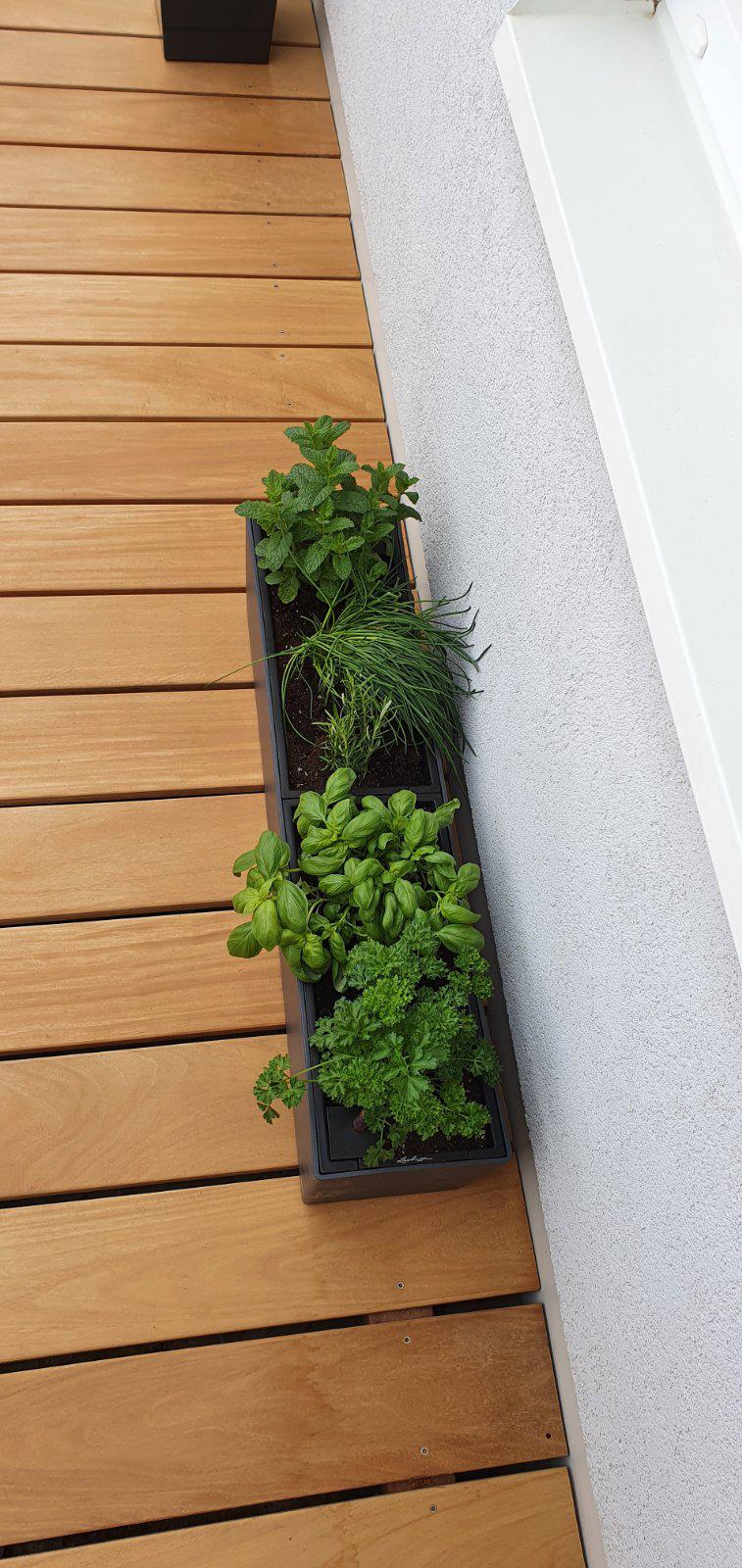 STAVTERA CZ s.r.o. foto 6