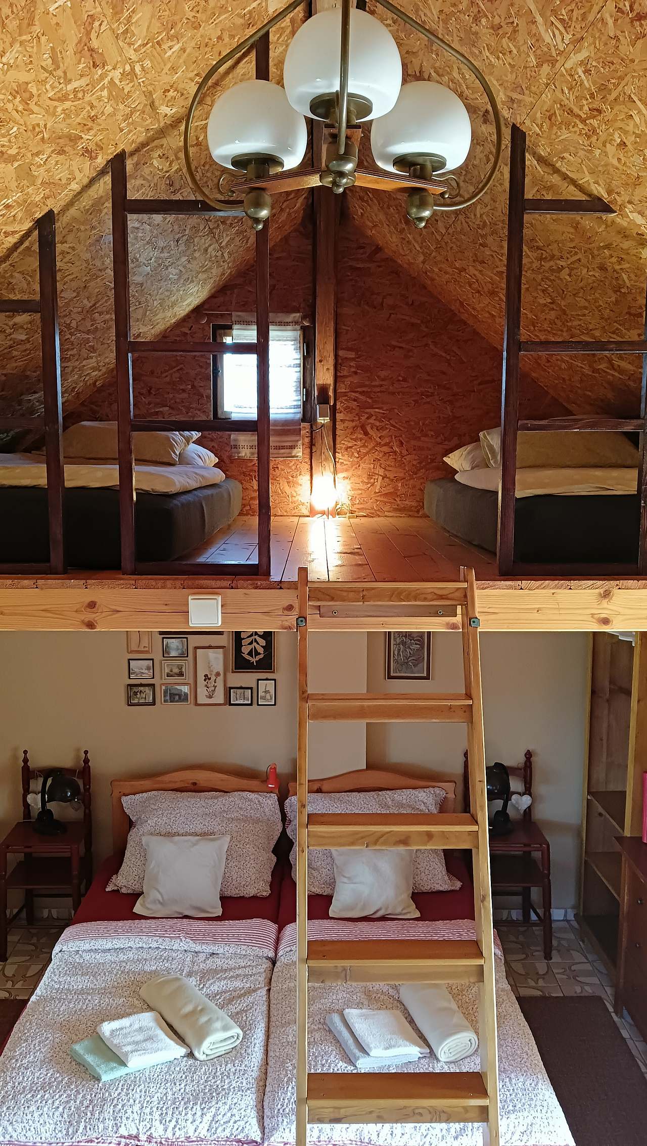 Domeček TIS foto 3