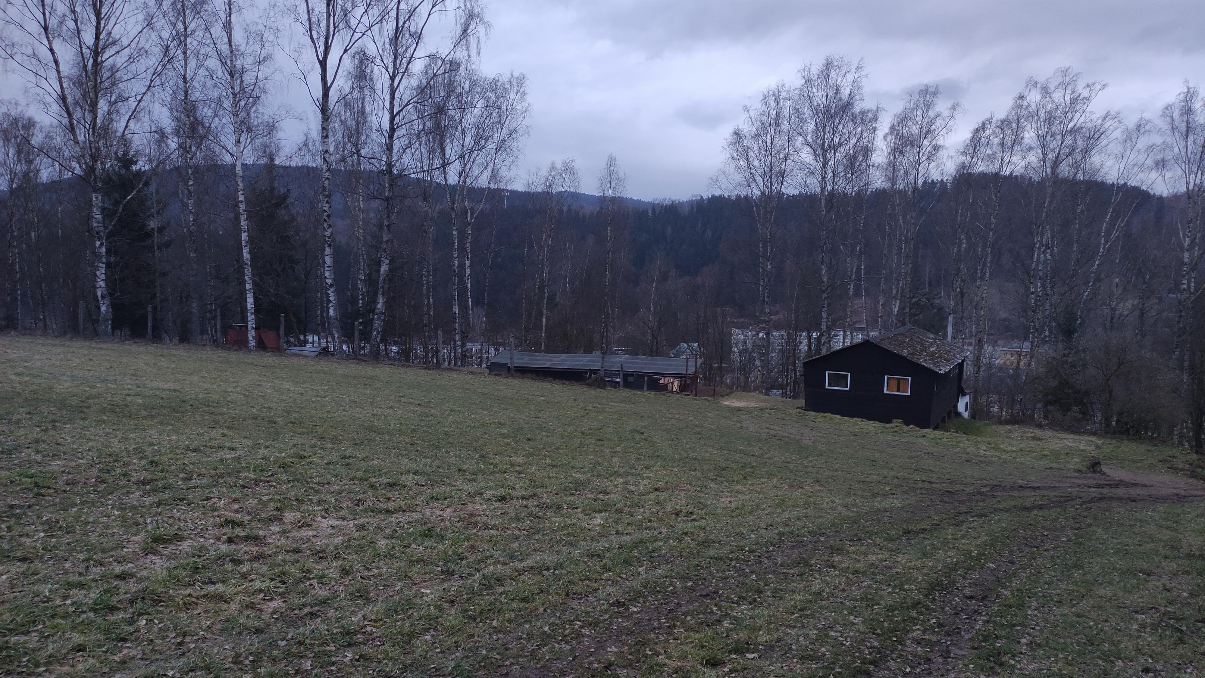 Český kynologický svaz ZKO Kraslice - 297 foto 3