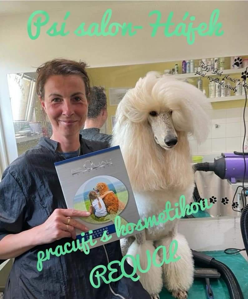 PSÍ SALON HÁJEK foto 4