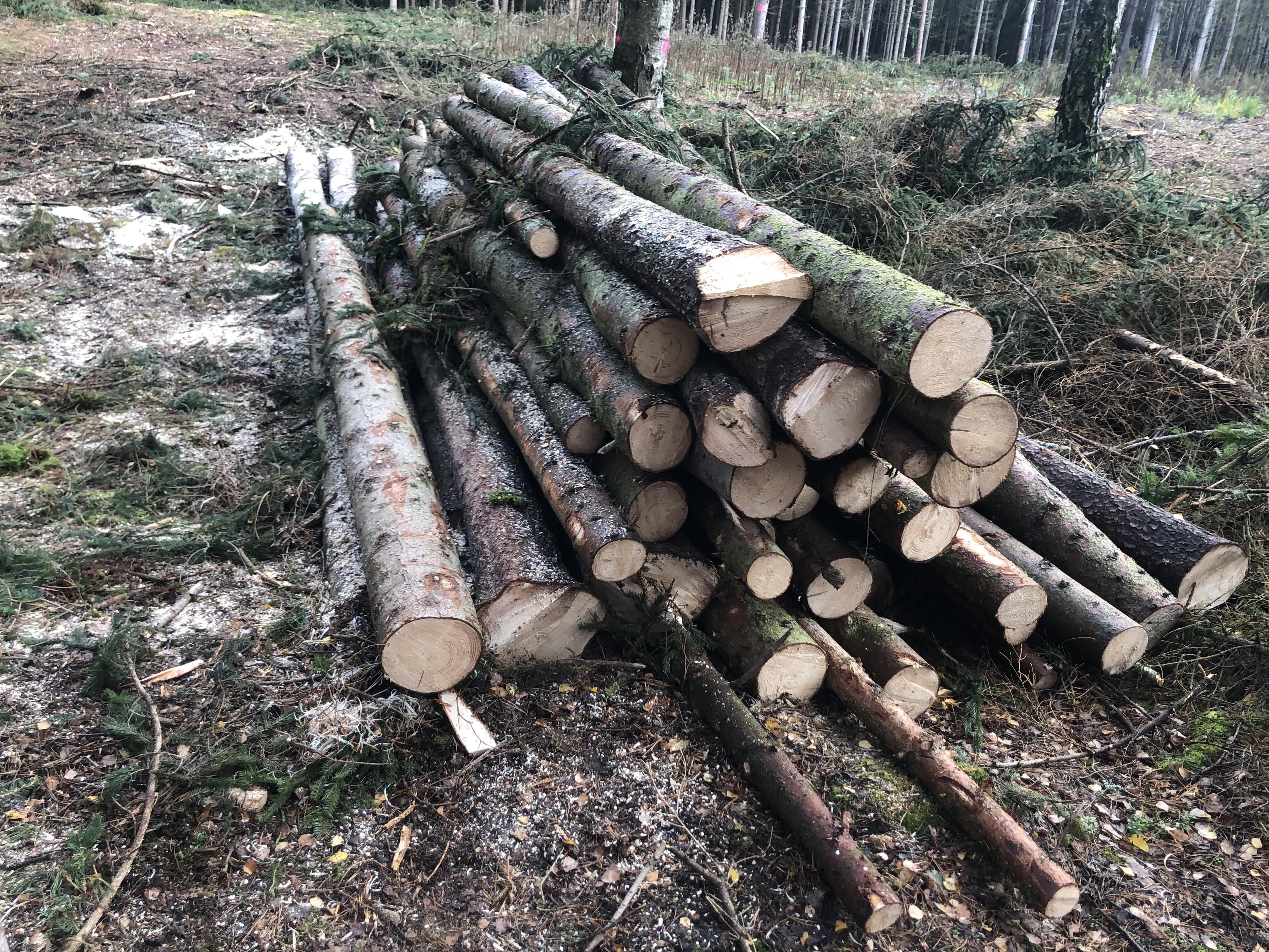 Palivové dřevo Hladík foto 2