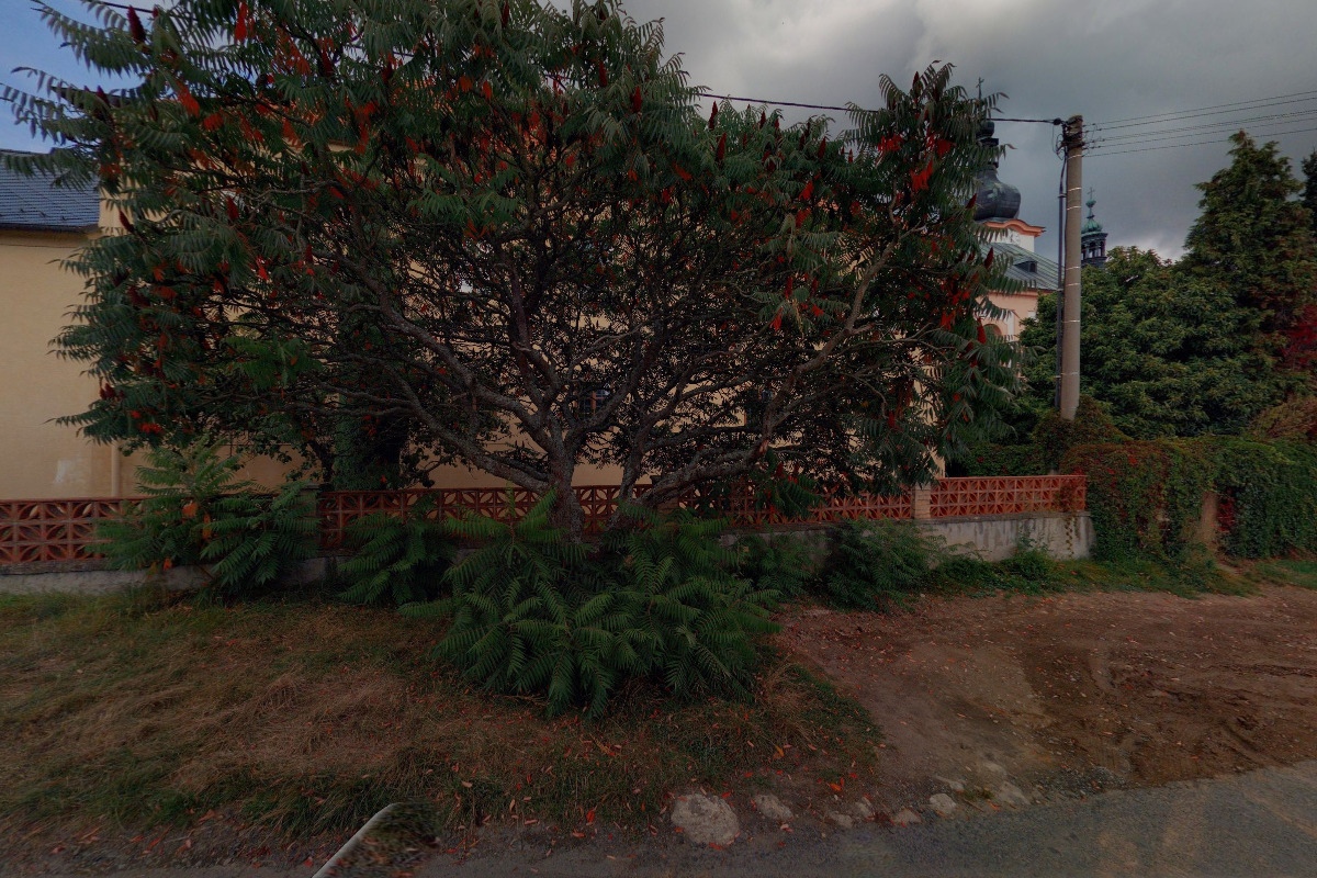 Junák - český skaut, středisko ICHTHYS Plzeň, Sagitta