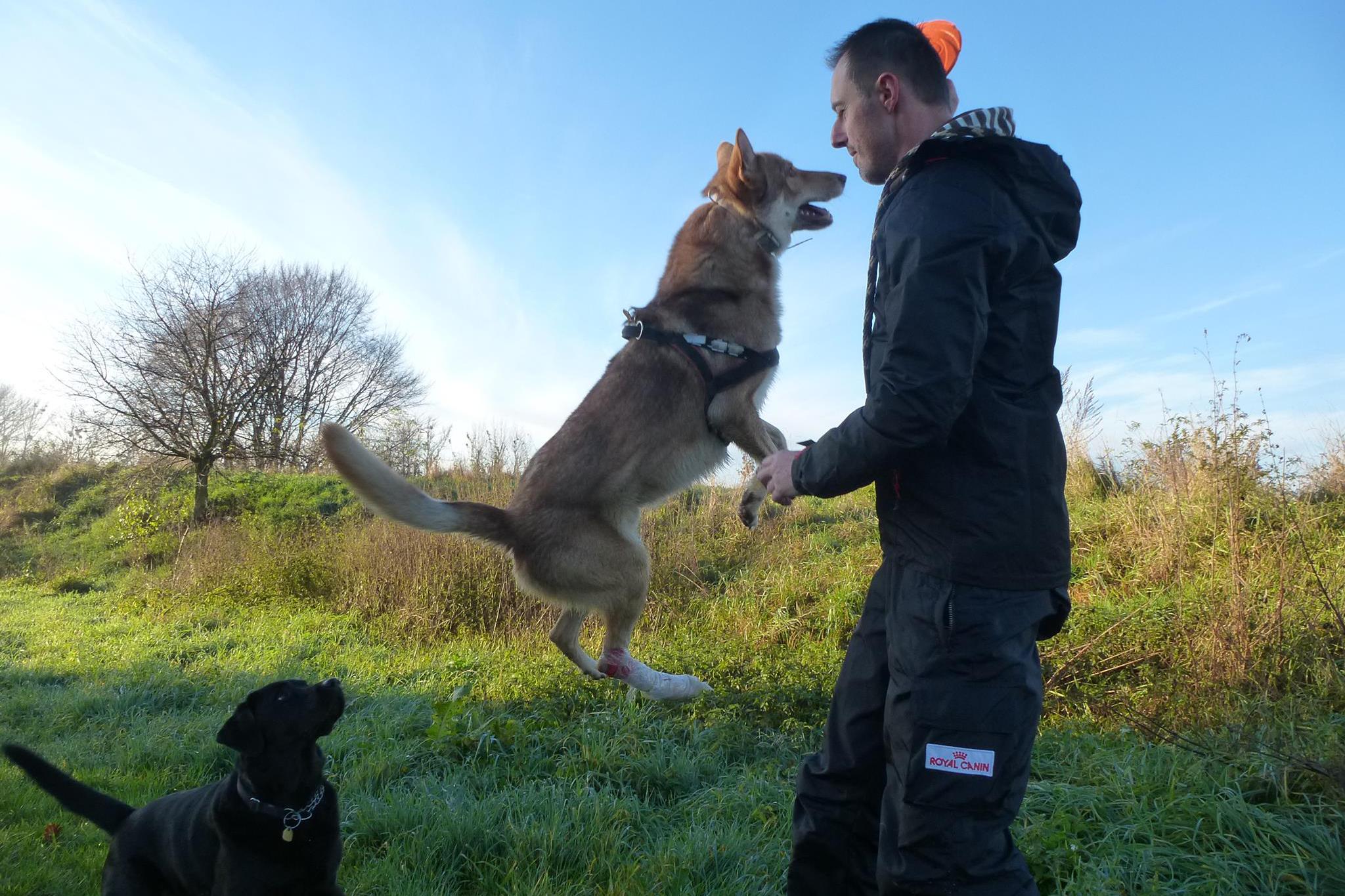 Výcvik a výchova psů Martin Hlobílek
