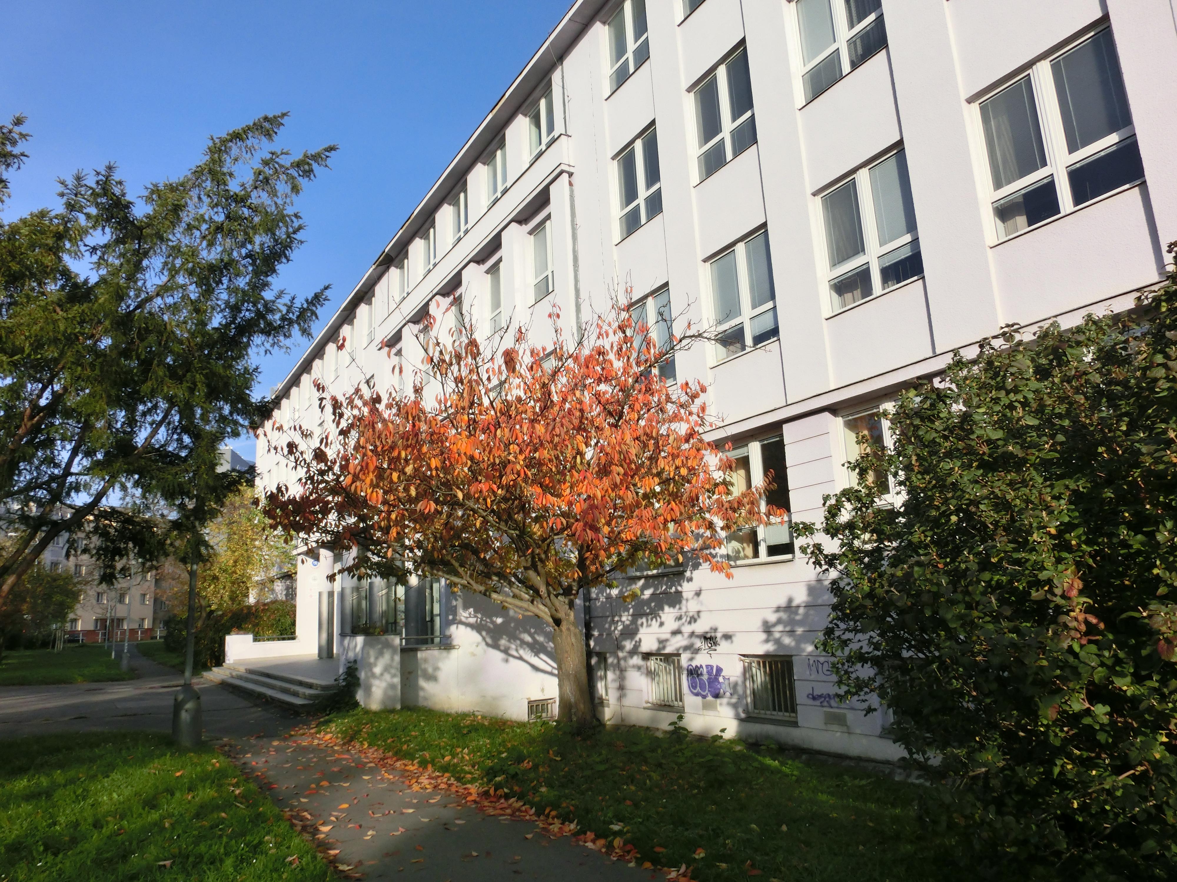 Gymnázium Praha 4, Budějovická foto 3