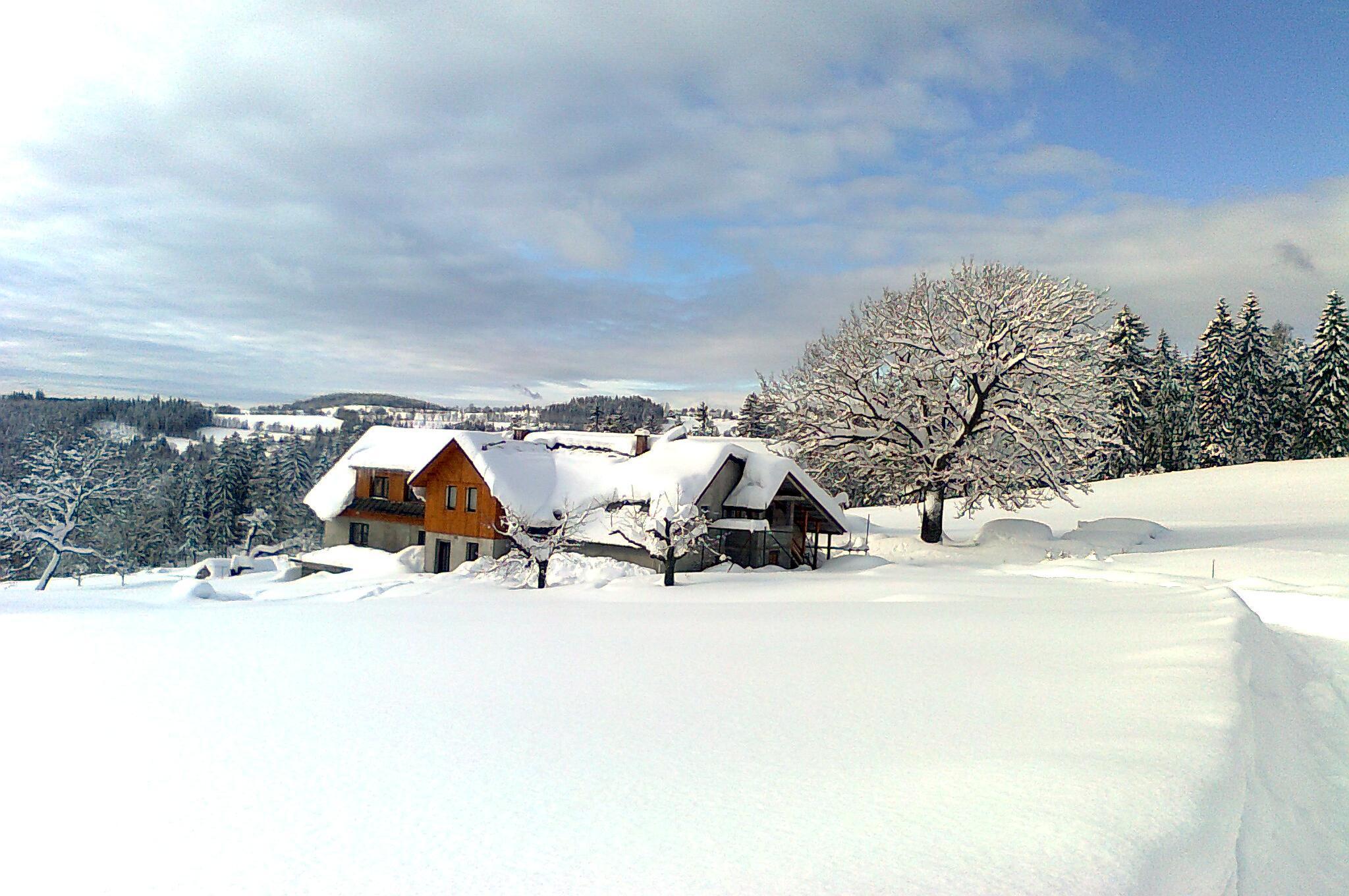 Ubytování Kuřátko