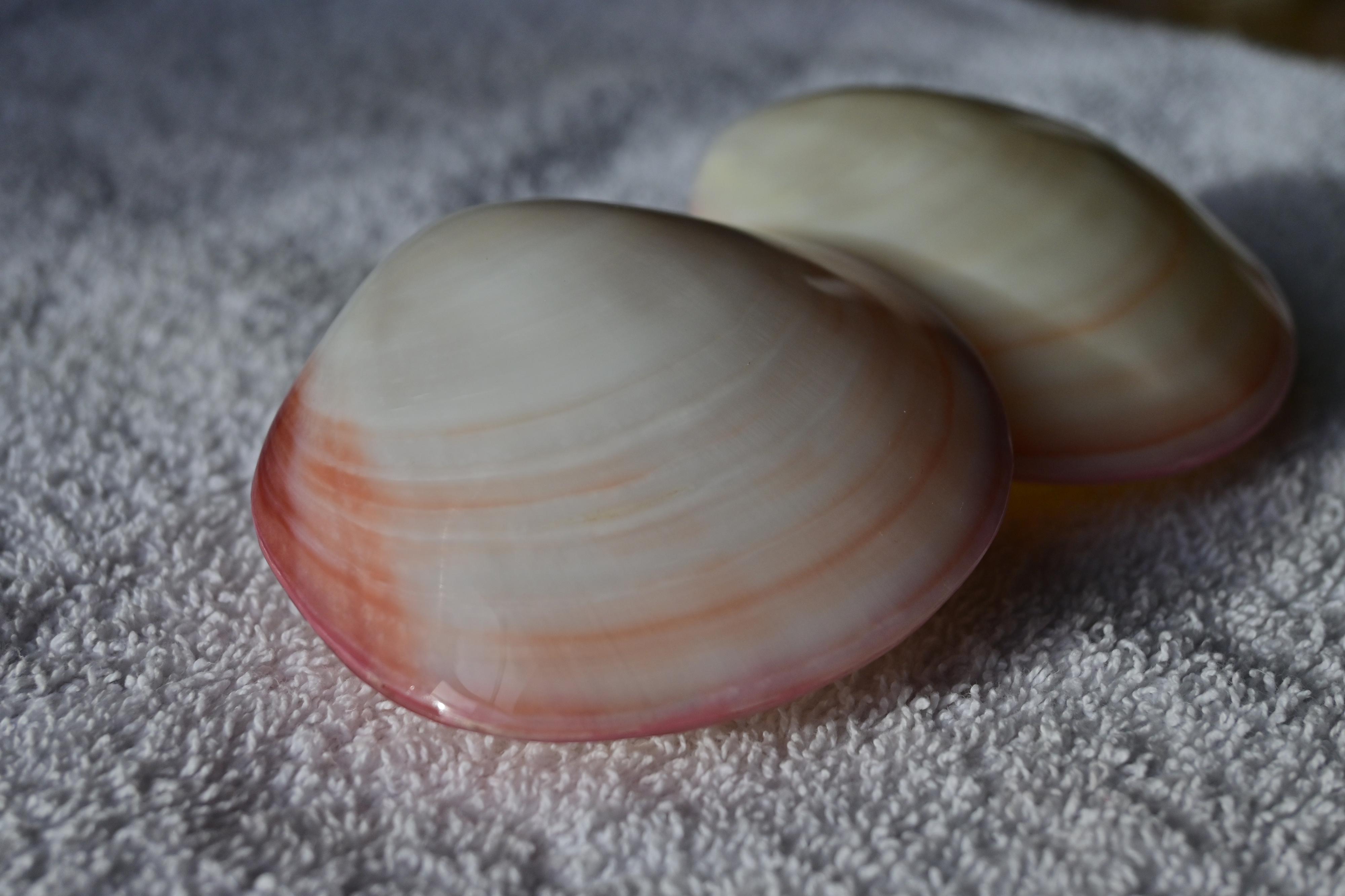 Masáže Velvet foto 4