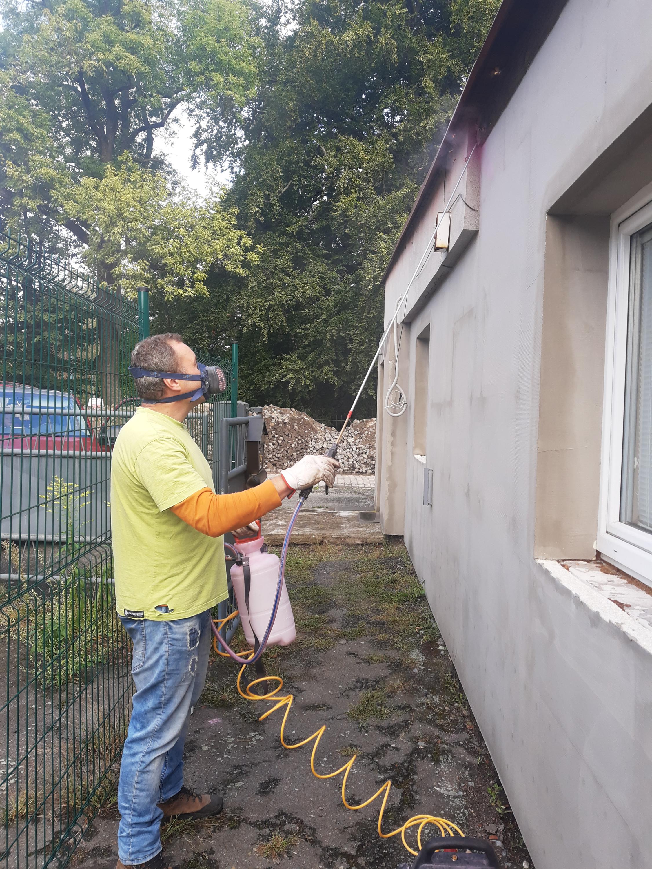 DELISA - deratizace, likvidace, sanace foto 3