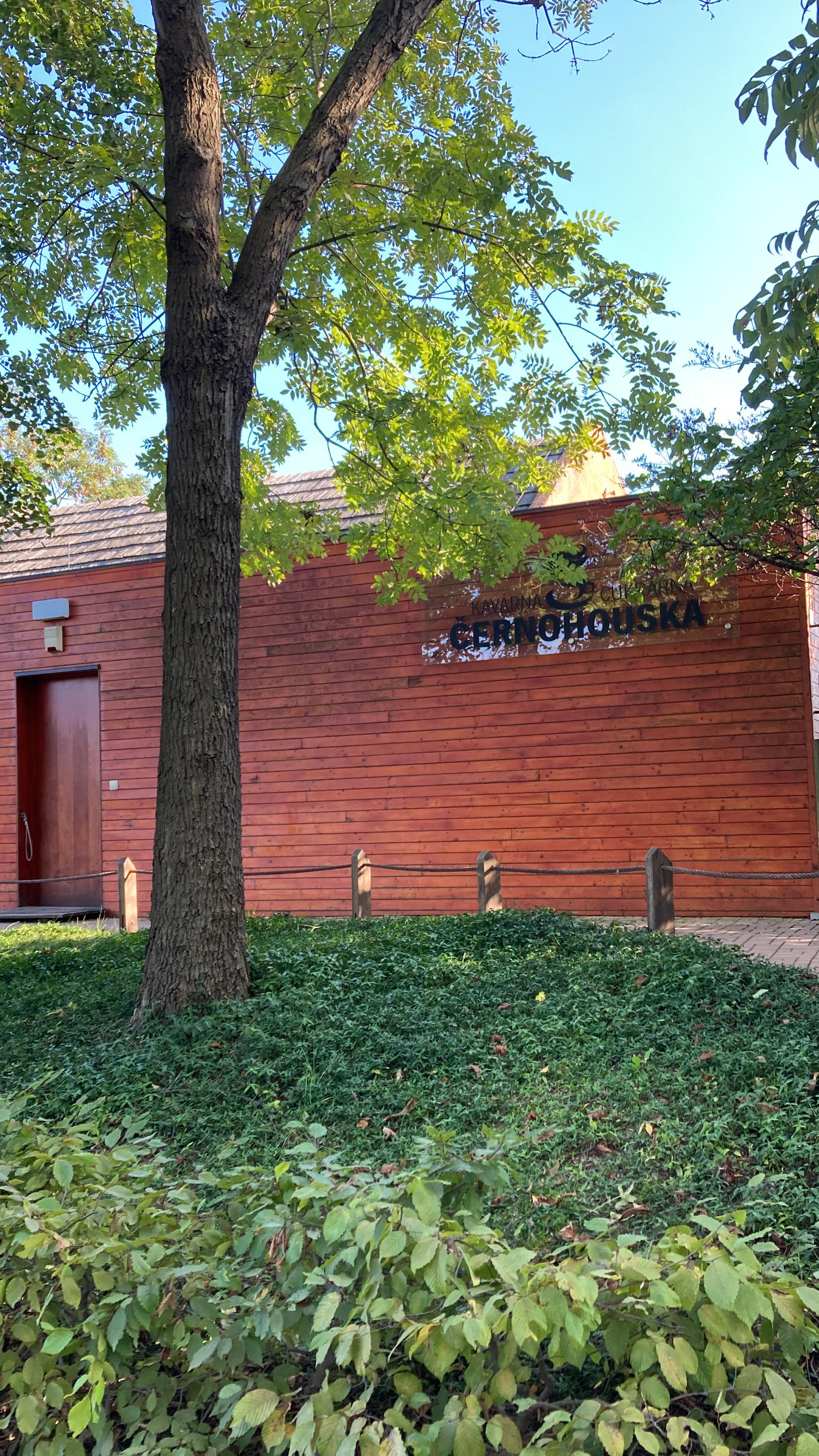 Kavárna a cukrárna Černohouska foto 2