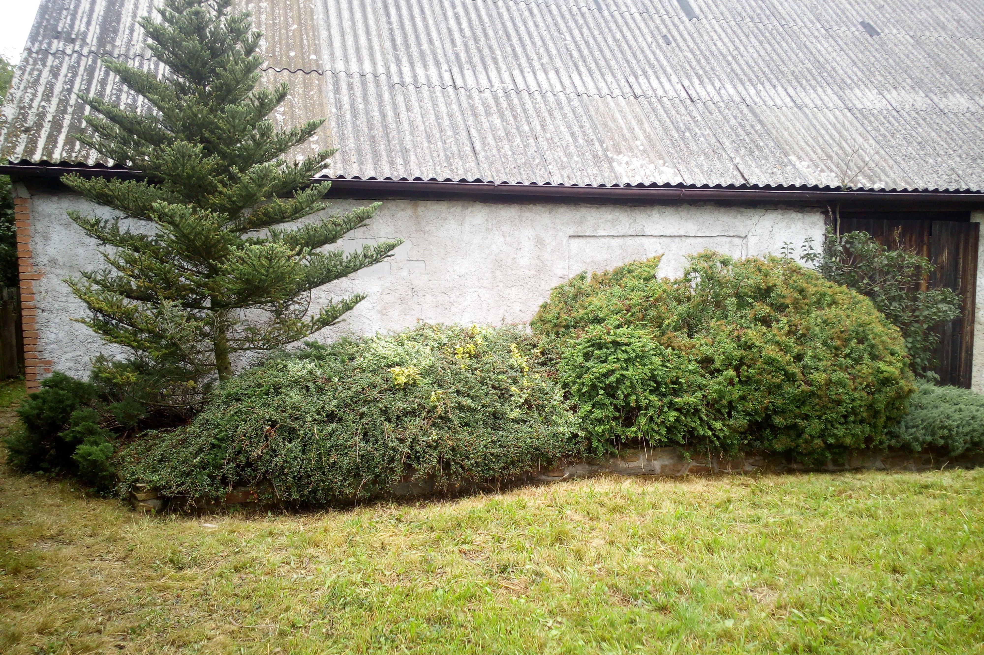 Údržba zahrad Hanuš