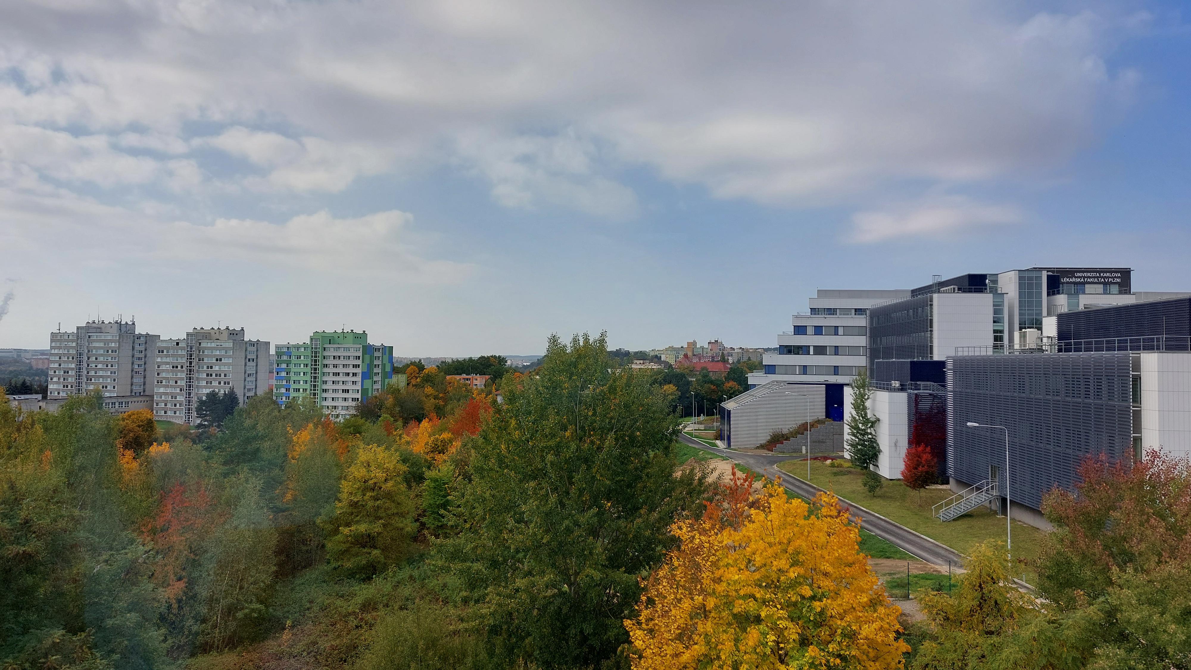 Lékařská fakulta v Plzni - Univerzita Karlova foto 6