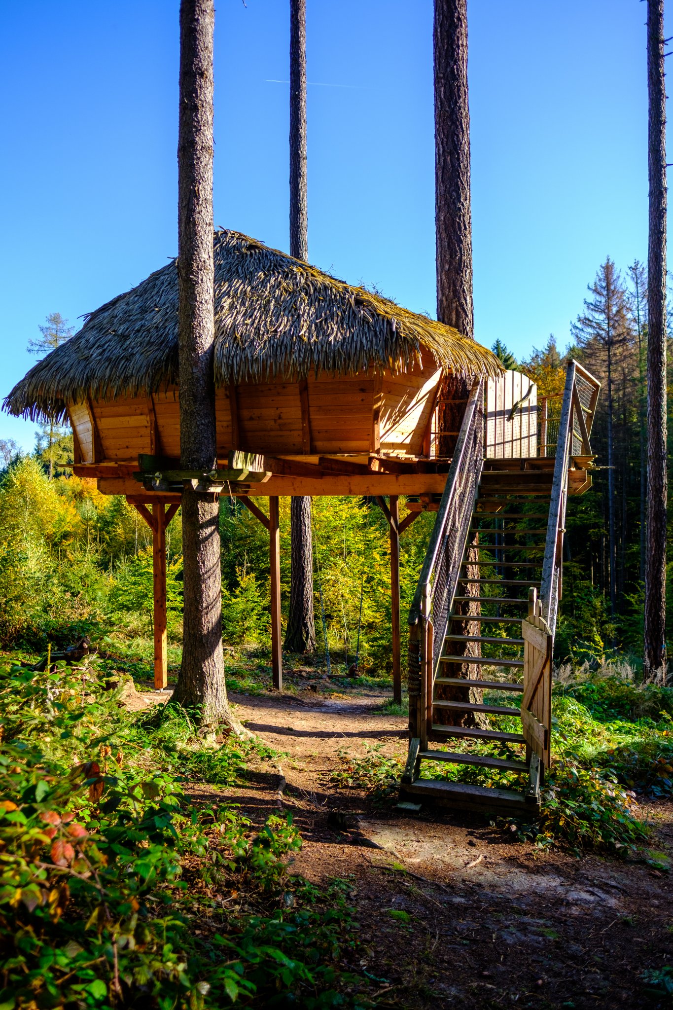 Tree House U Jezevce foto 3