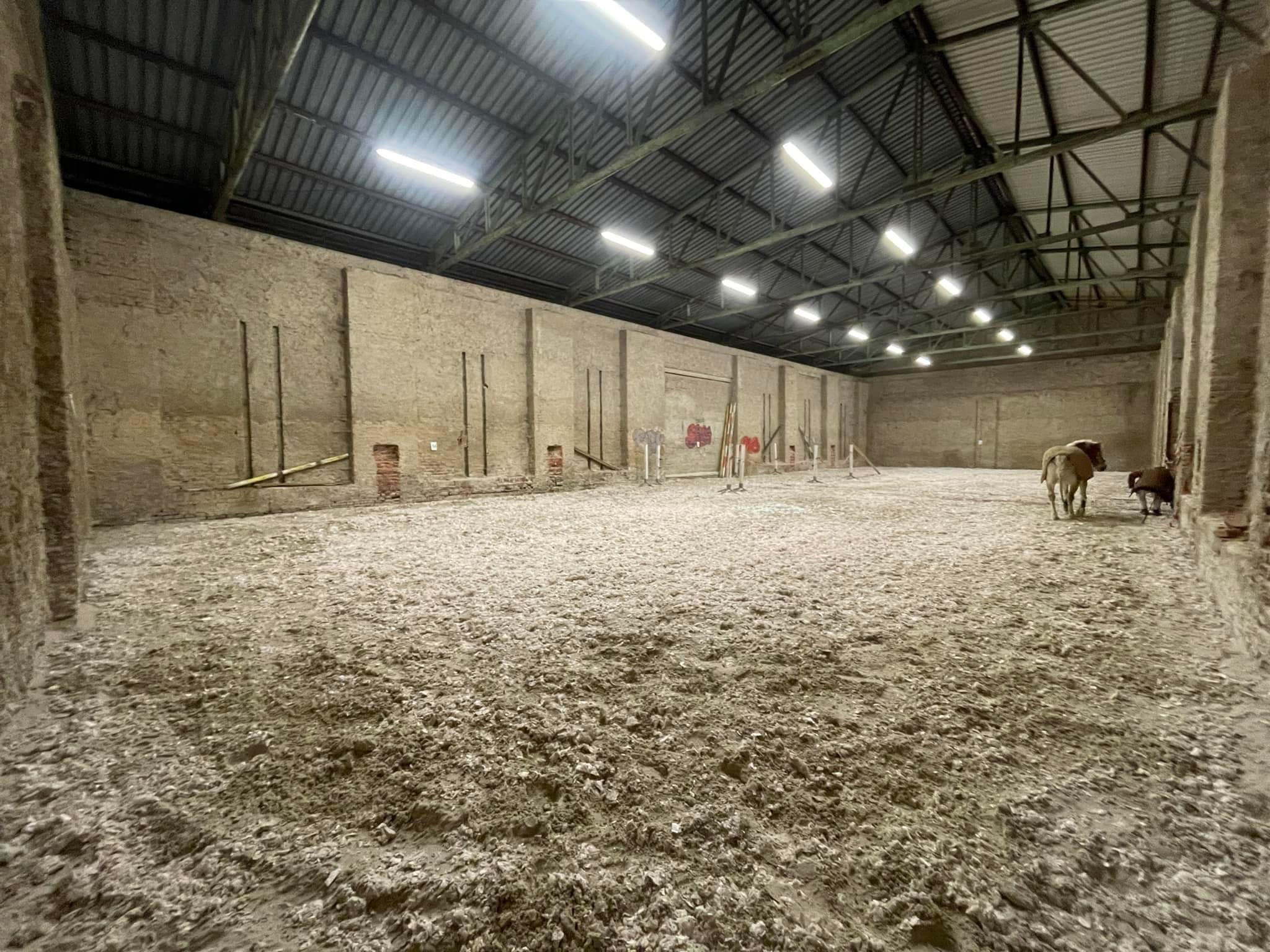 TJ Zámecký hřebčín z.s. foto 3