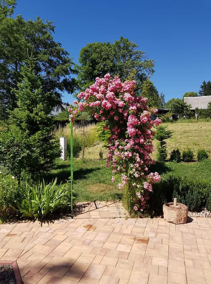 Chata Janovičky foto 3