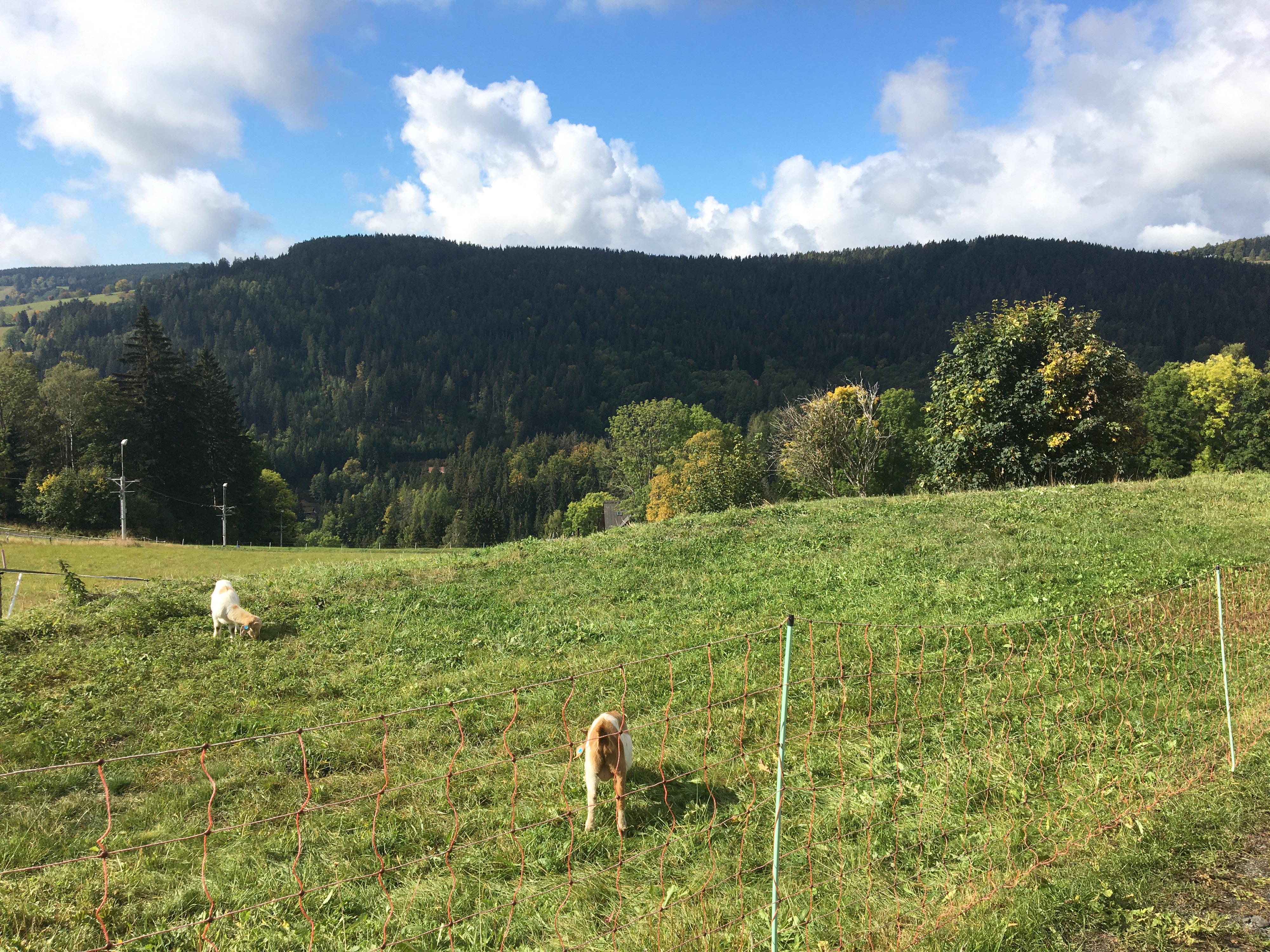Farma Hucul - koňský ranč foto 5