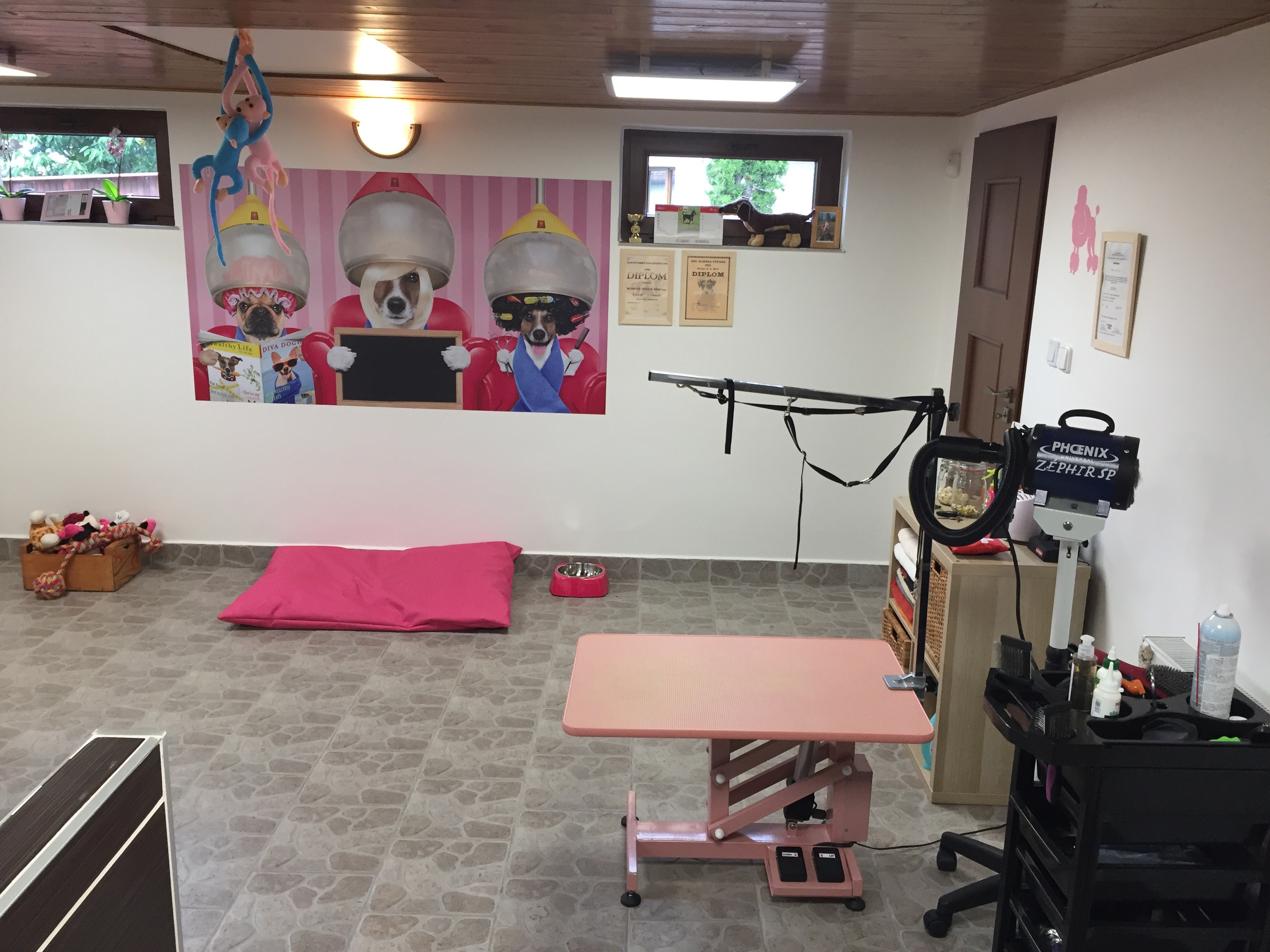 Black Bett - salón pro psy Karviná foto 3