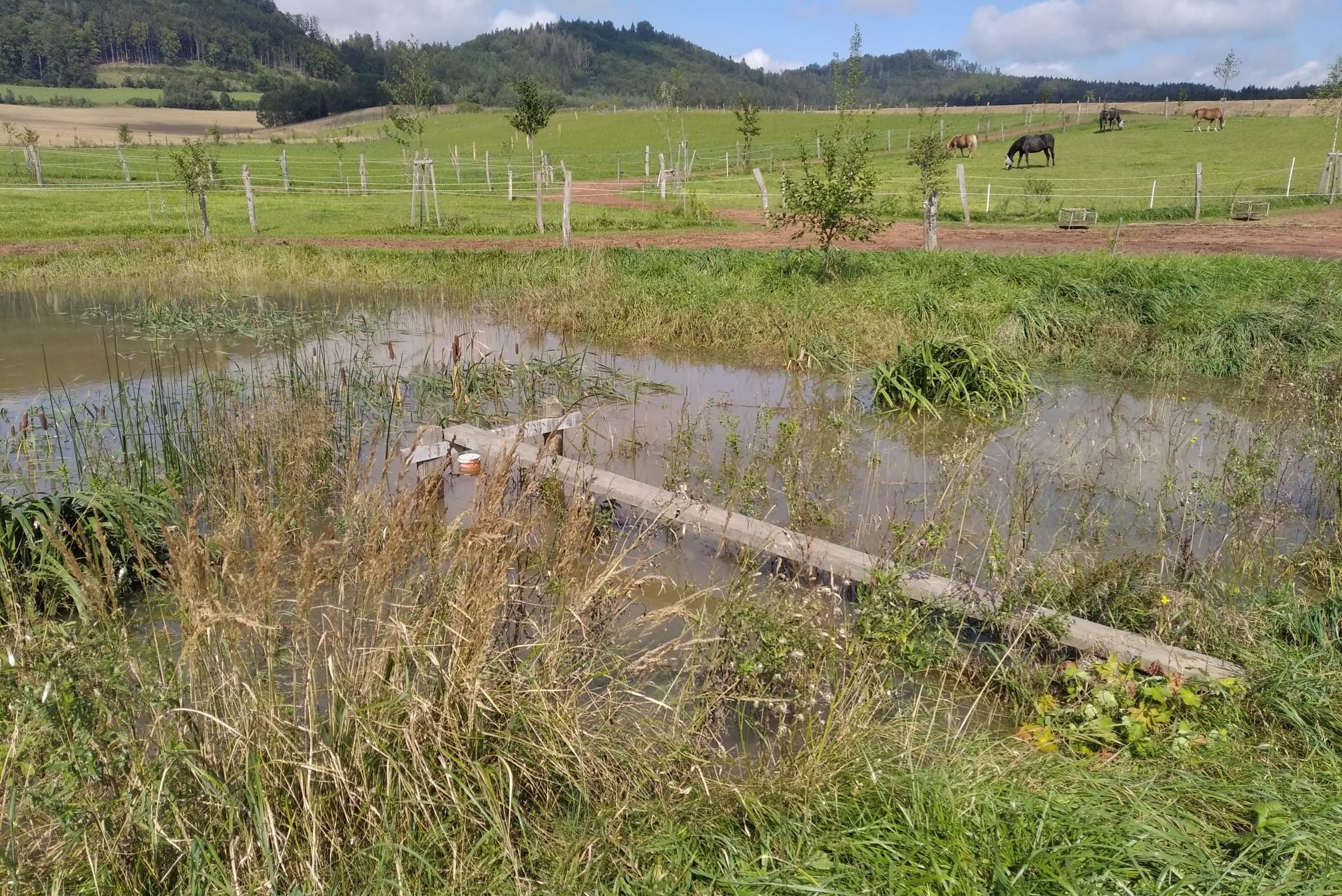 Spolek přátel koní Aimi