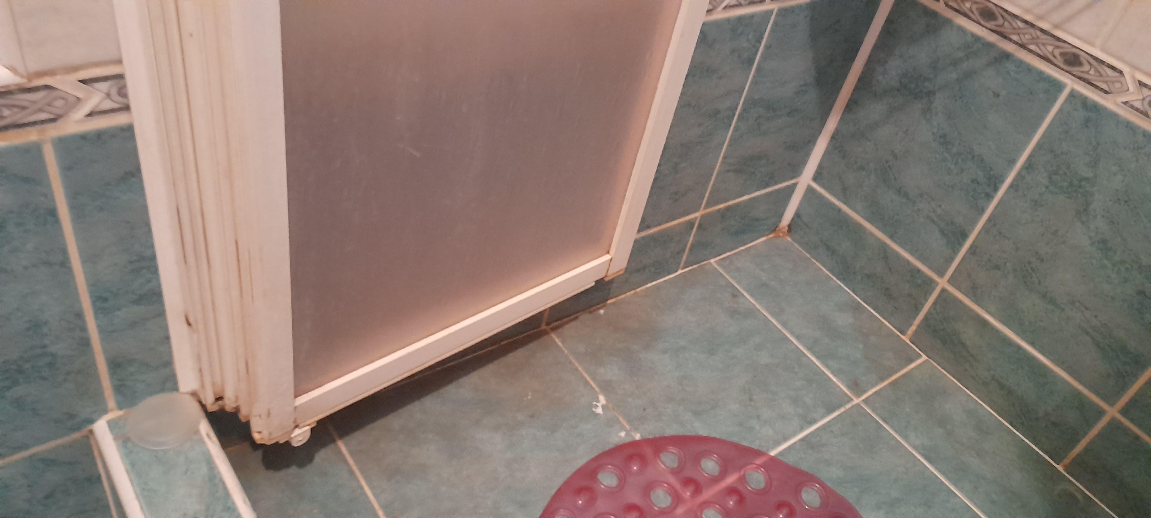 Lucie Hrdličková úklidové služby foto 6