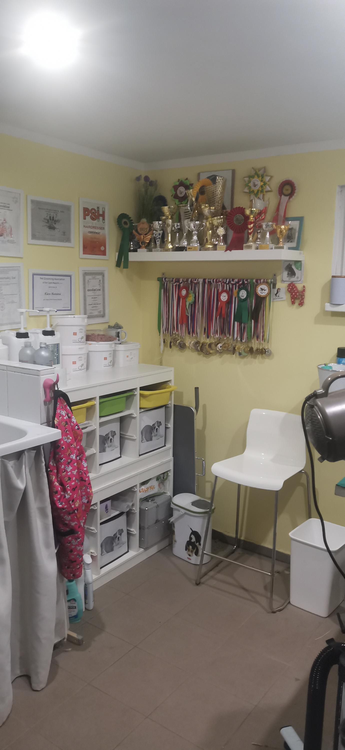 PSÍ SALON HÁJEK foto 2