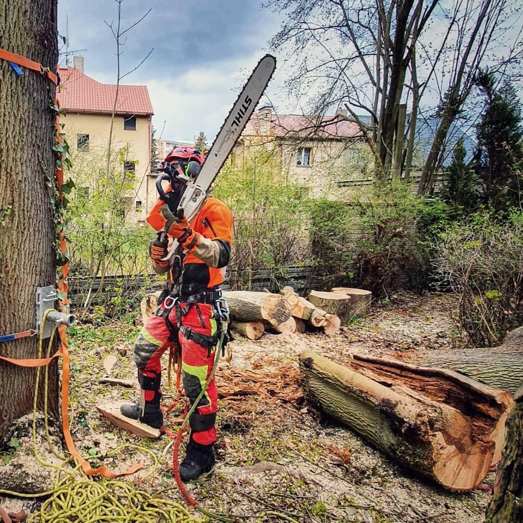 Rizikové kácení Vladimír Gašper foto 3