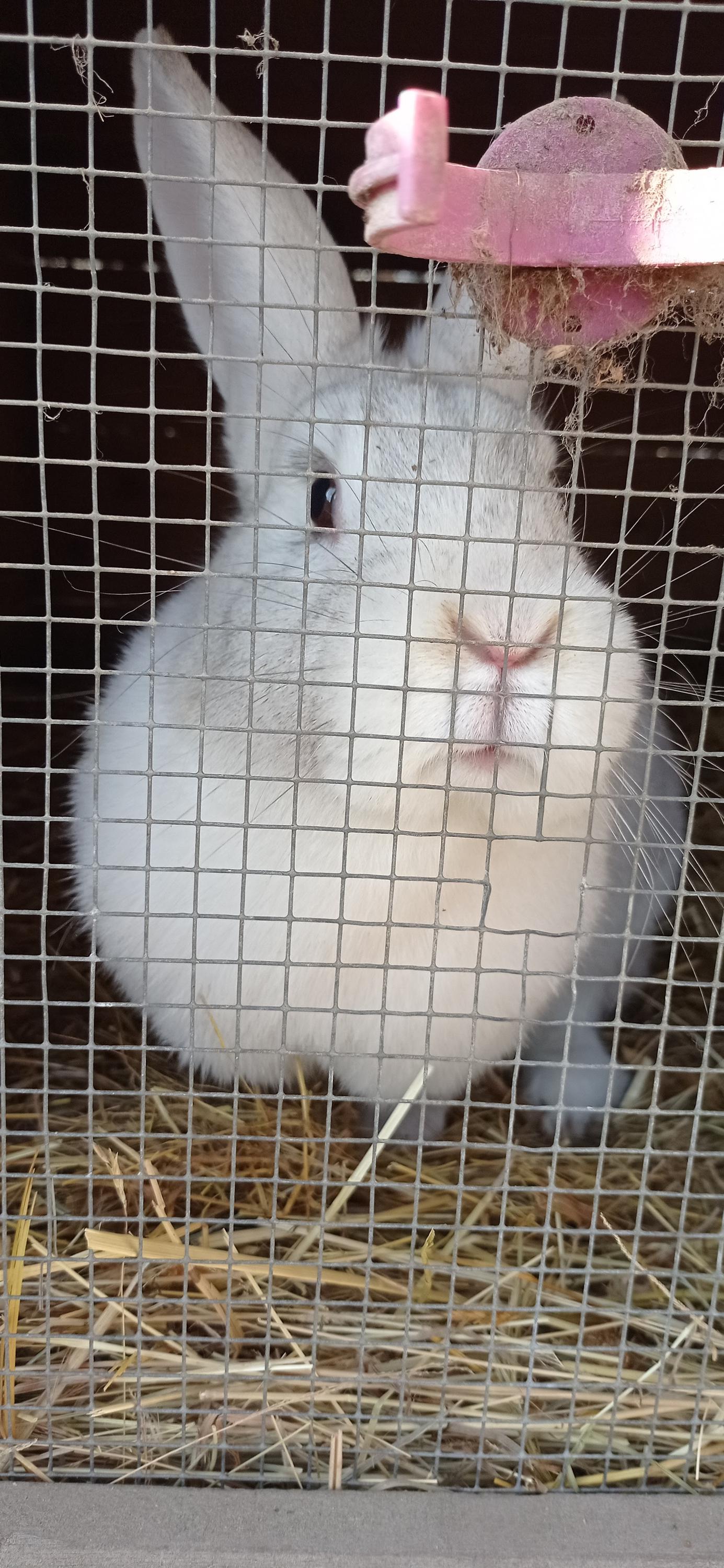 Ing. Zdeněk Mazal - zahradnictví foto 5